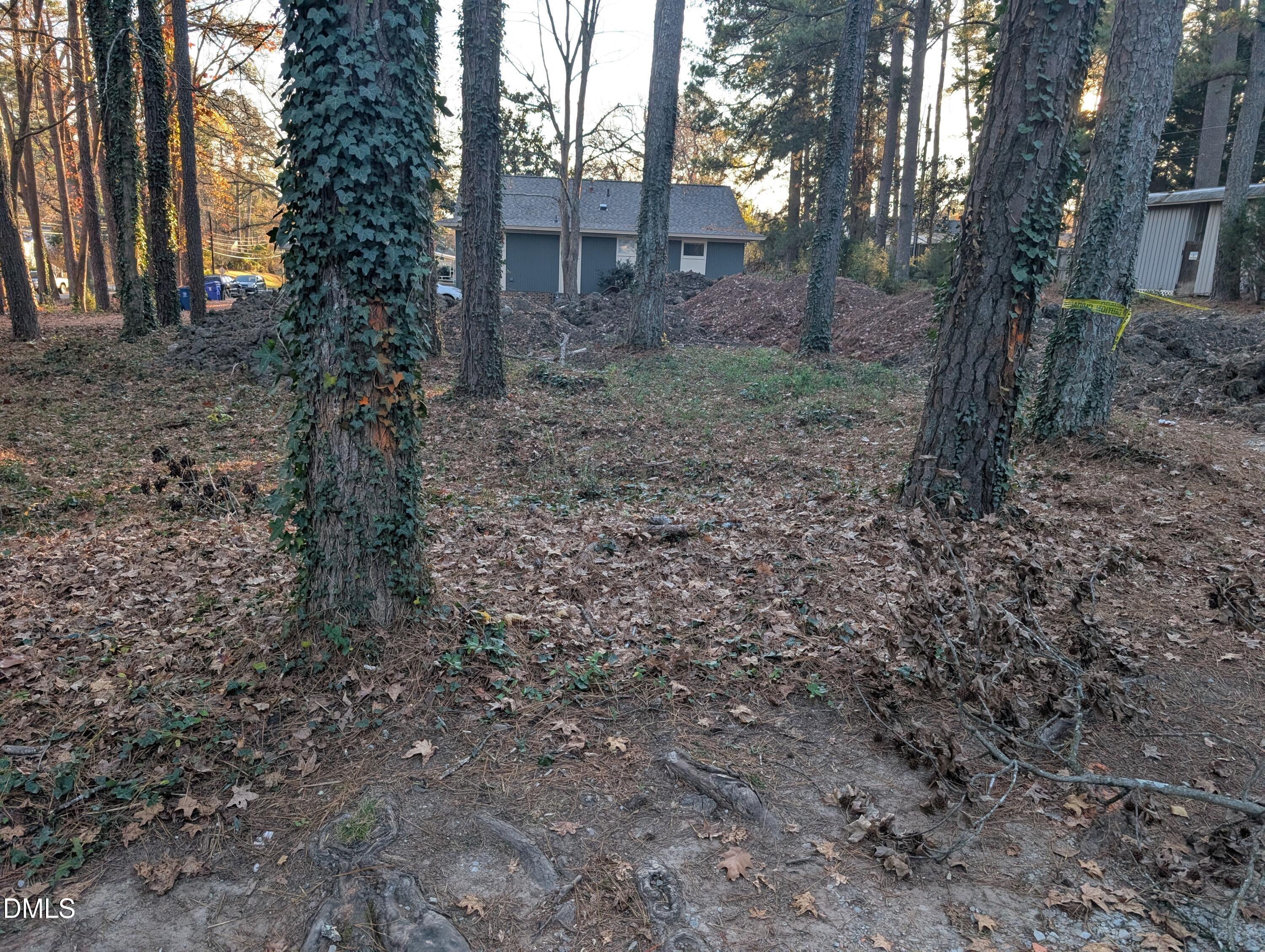 2727 Broad Street Durham, NC 27704 - Photo 5 of 9 a view of a yard with plants and trees
