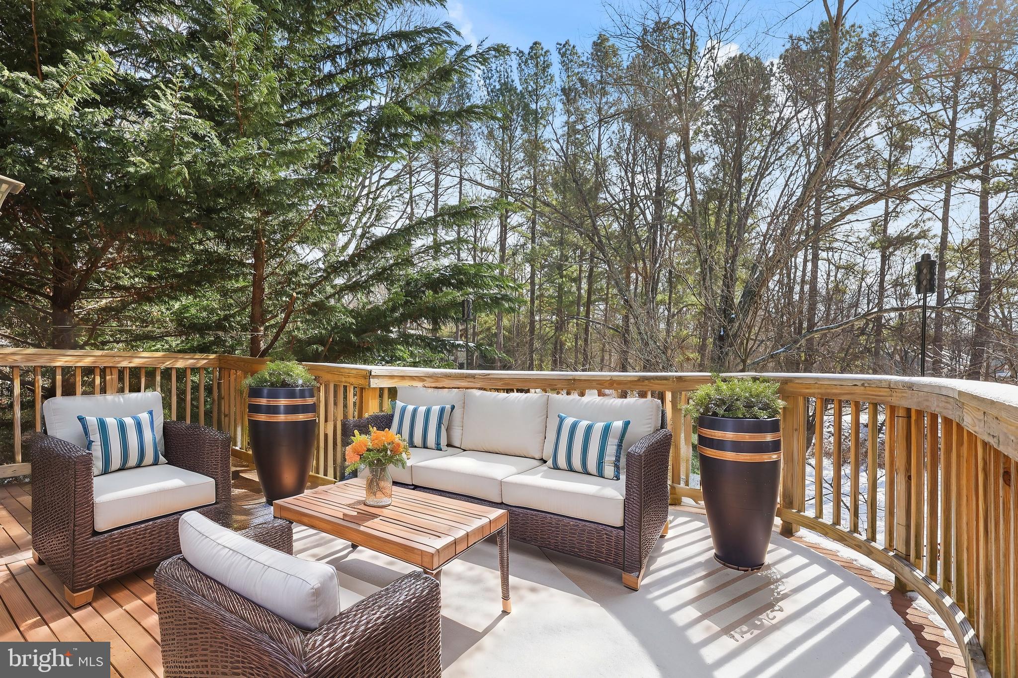 1545 Scandia Circle Reston, VA 20190 - Photo 34 of 49