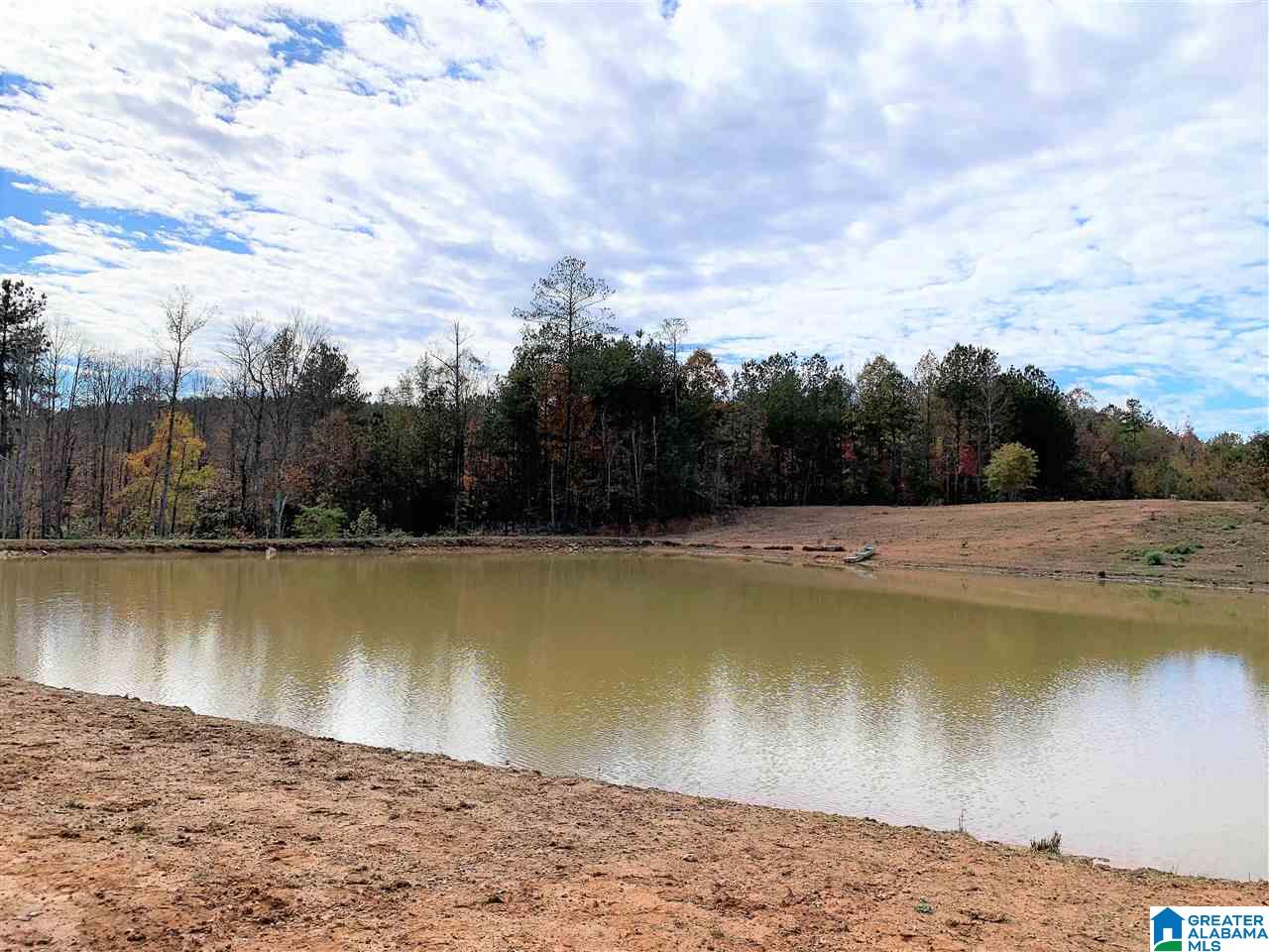 345 County Road 247 Fruithurst, AL 36262 - Photo 3 of 26