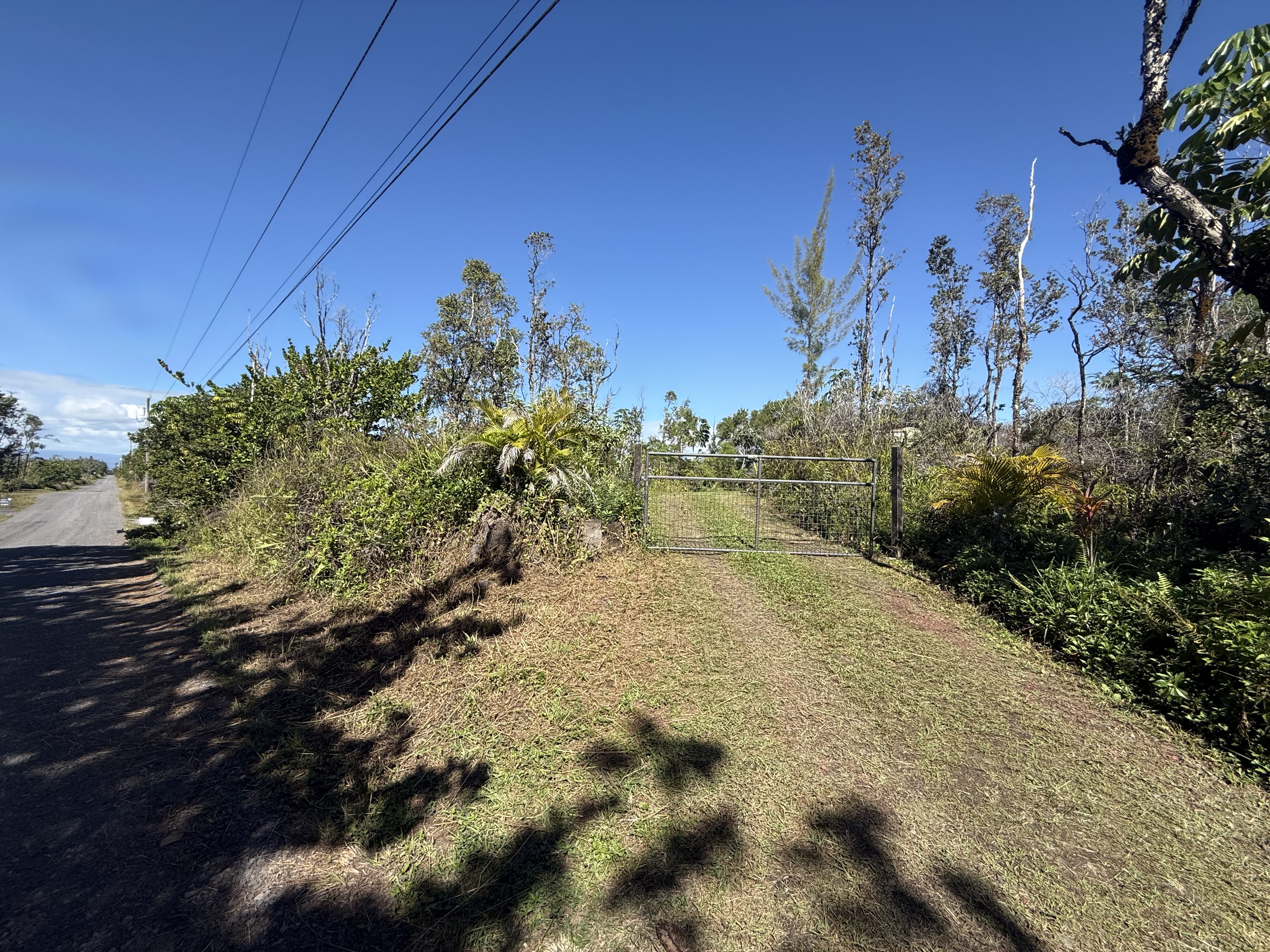 2709 3rd Avenue Keaau, HI 96749 - Photo 4 of 19 a view of a yard with trees