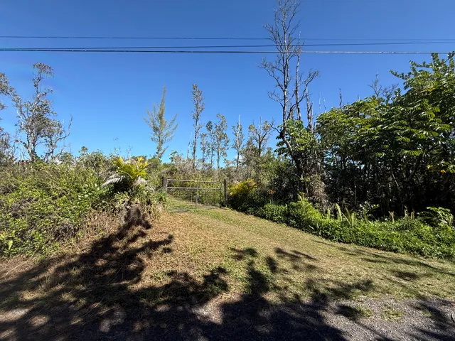 a view of a yard with a tree