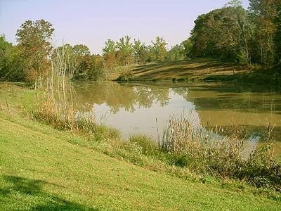 10795 Napoleon Zion Stat Dry Ridge Dry Ridge, KY 41035 - Photo 2 of 8