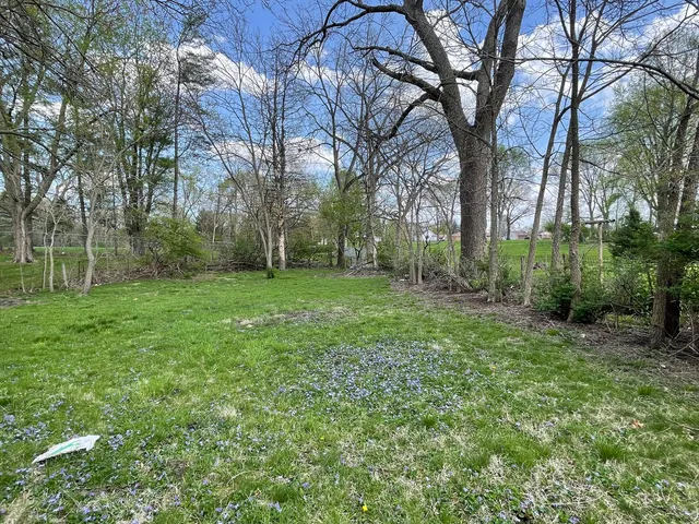 a view of a backyard with large trees
