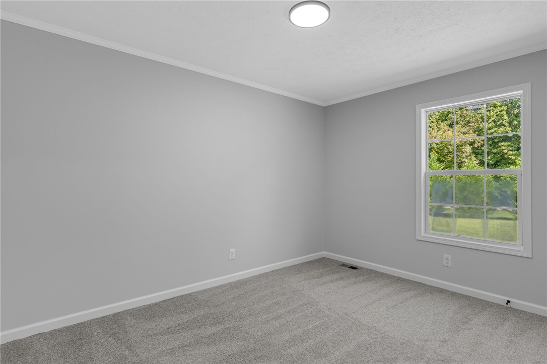 287 Carousel Road Gray Court, SC 29645 - Photo 19 of 36