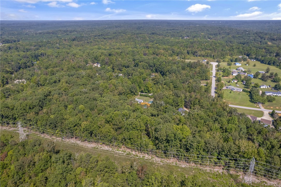 287 Carousel Road Gray Court, SC 29645 - Photo 35 of 36