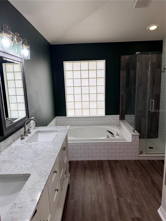 4111 Amber Ridge Lane Valrico, FL 33594 - Photo 16 of 27 a spacious bathroom with a granite countertop bathtub a sink and a large mirror