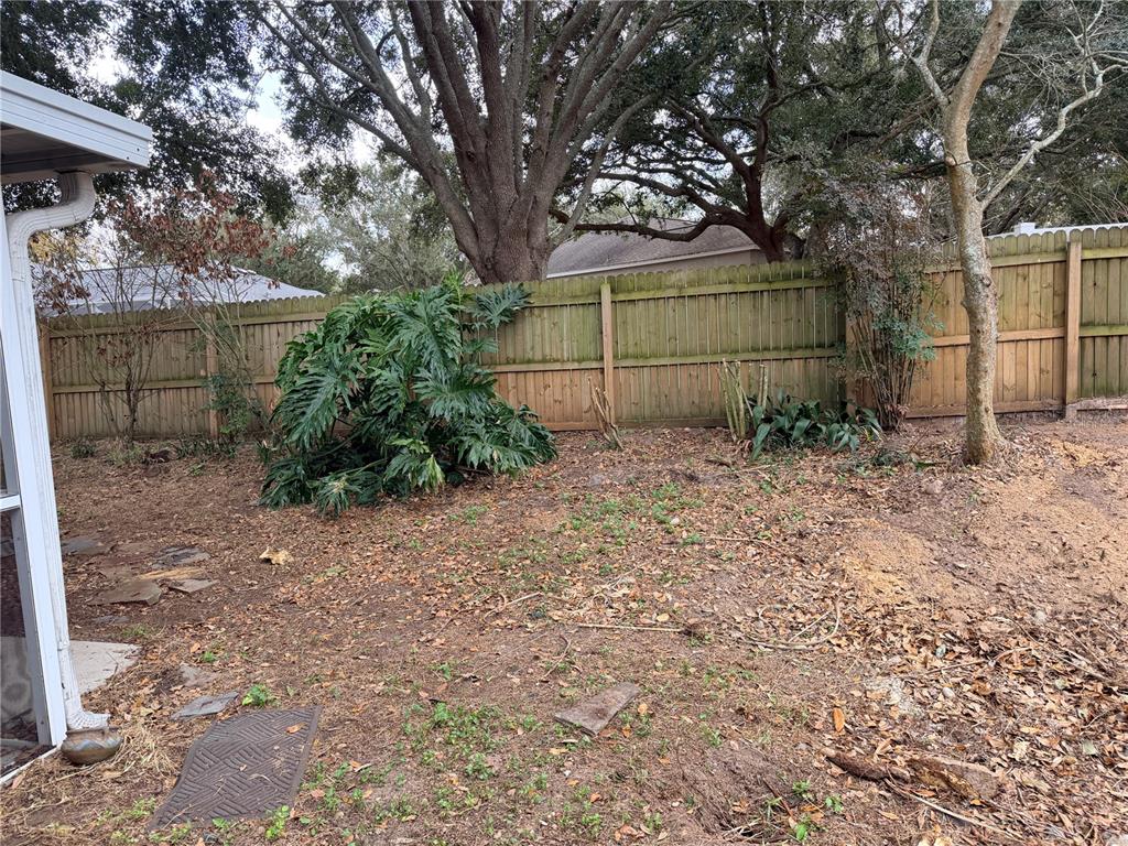 4111 Amber Ridge Lane Valrico, FL 33594 - Photo 26 of 27 a backyard of a house with lots of green space