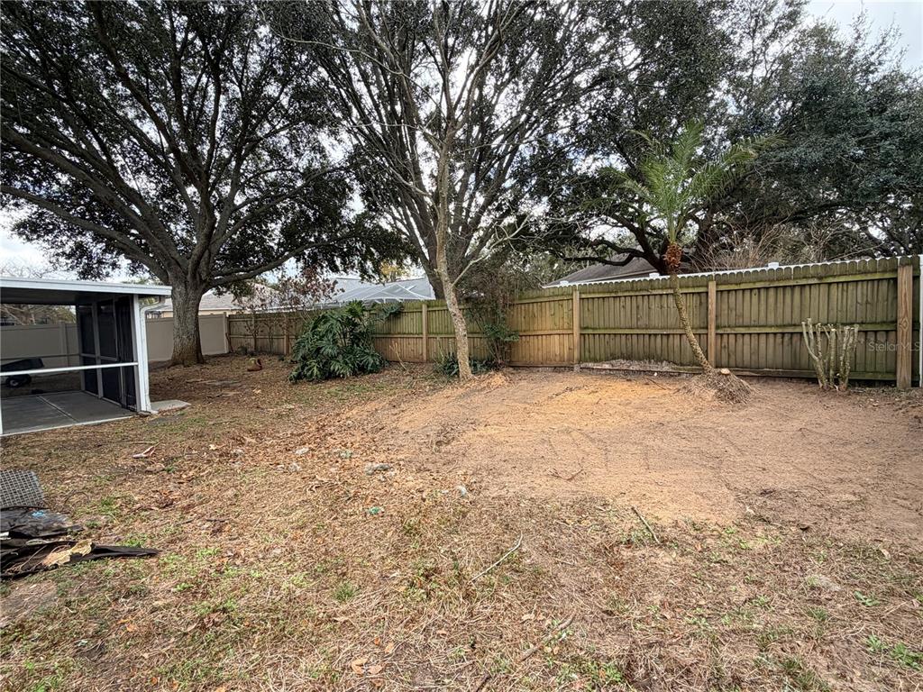 4111 Amber Ridge Lane Valrico, FL 33594 - Photo 27 of 27 a view of a backyard with a tree