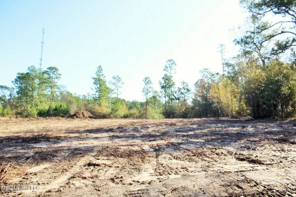 $34,900 | 2.48-ac Jones Road, Lucedale, MS 39452