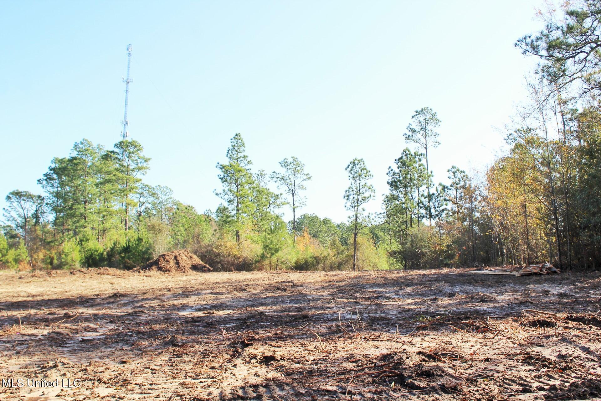 2.48-ac Jones Road Lucedale, MS 39452 - Photo 11 of 12 IMG_2991