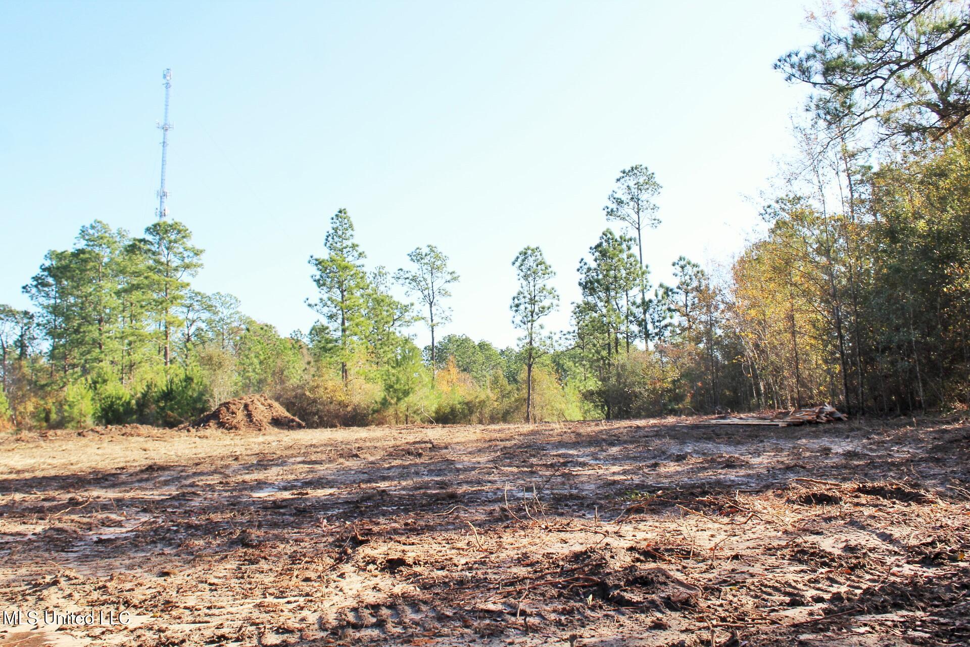 2.48-ac Jones Road Lucedale, MS 39452 - Photo 12 of 12 IMG_2992