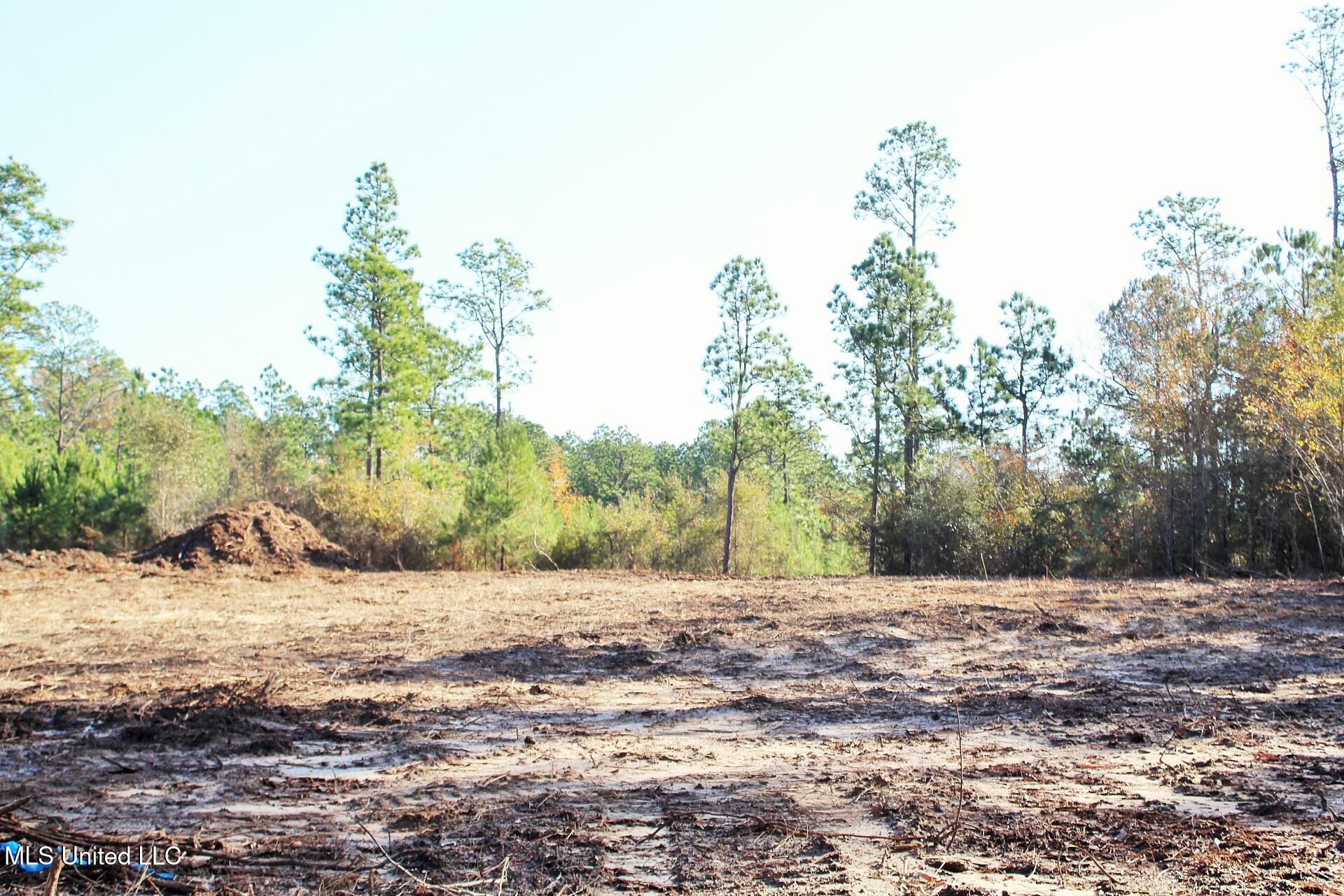 2.48-ac Jones Road Lucedale, MS 39452 - Photo 3 of 12 IMG_2981