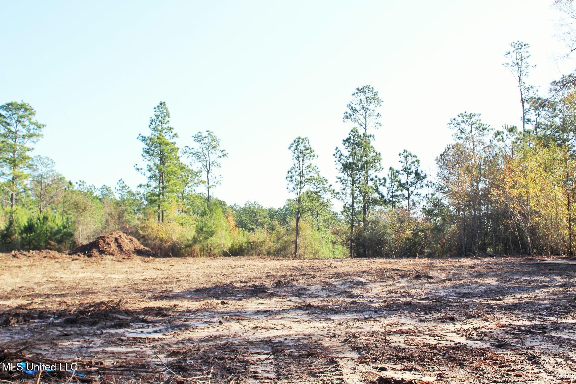 2.48-ac Jones Road Lucedale, MS 39452 - Photo 4 of 12 IMG_2982