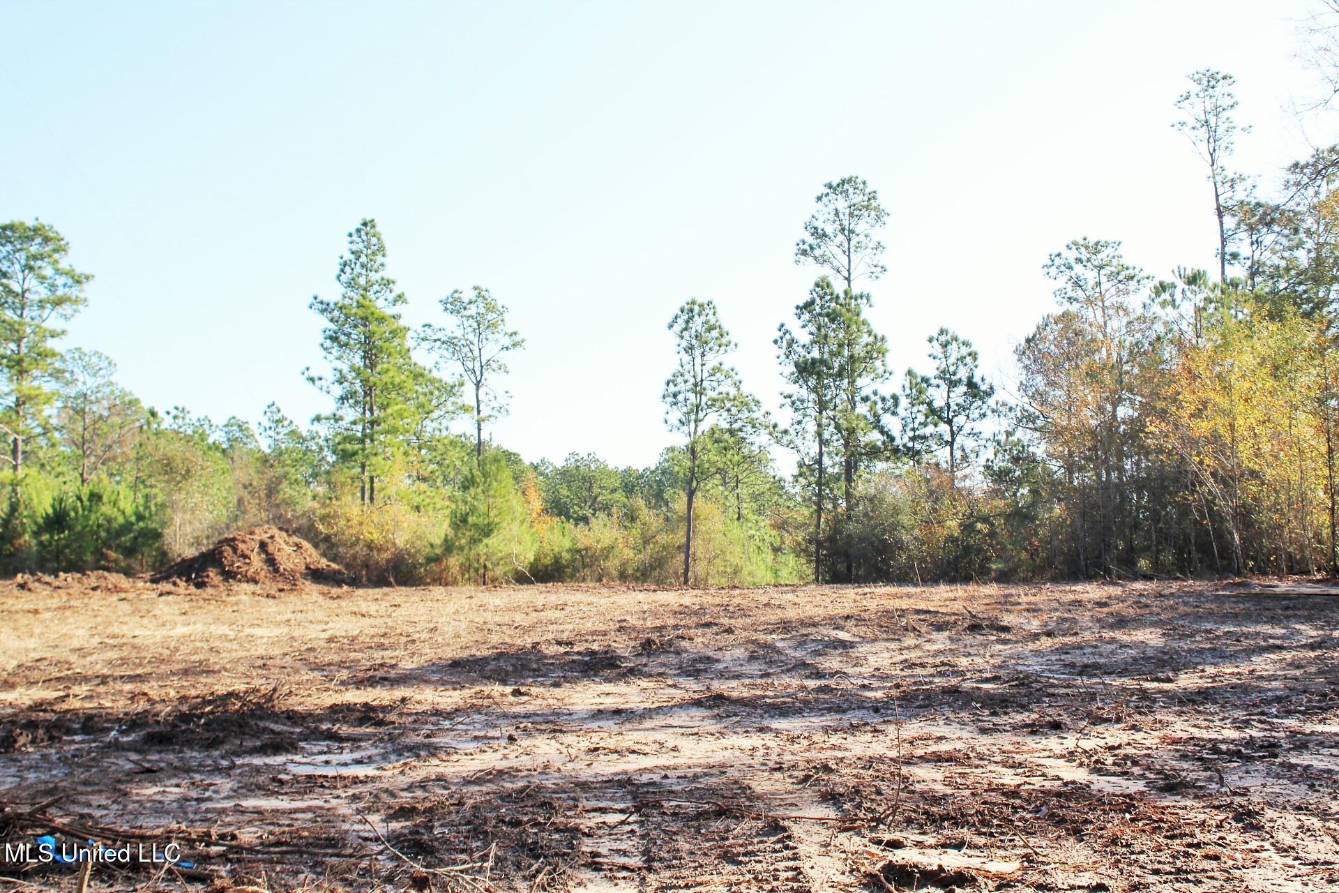 2.48-ac Jones Road Lucedale, MS 39452 - Photo 5 of 12 IMG_2983