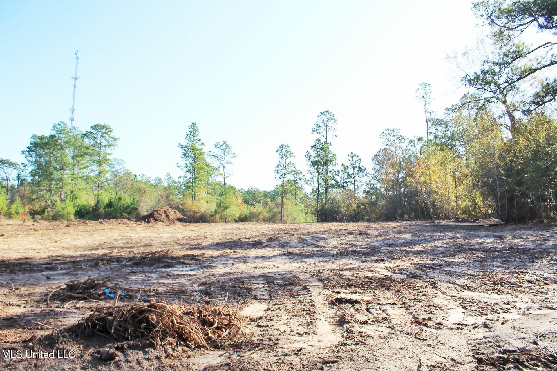 2.48-ac Jones Road Lucedale, MS 39452 - Photo 6 of 12 IMG_2984