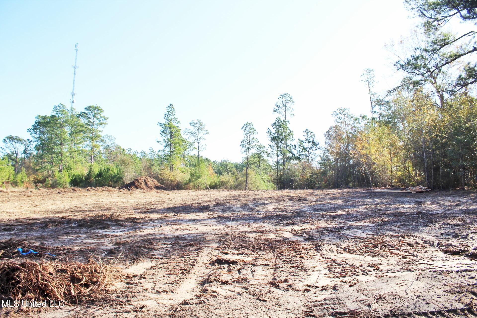 2.48-ac Jones Road Lucedale, MS 39452 - Photo 7 of 12 IMG_2986