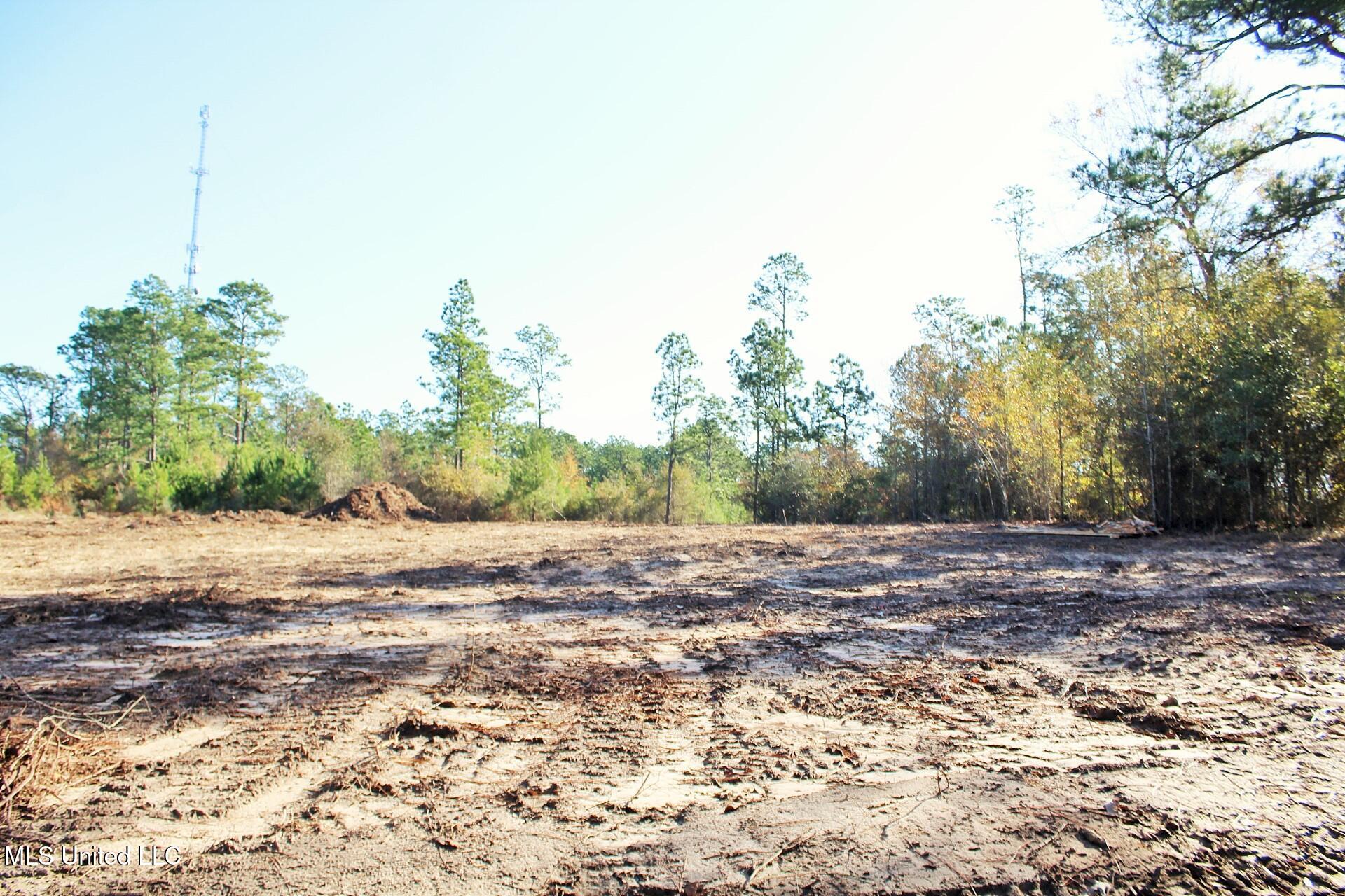 2.48-ac Jones Road Lucedale, MS 39452 - Photo 8 of 12 IMG_2988