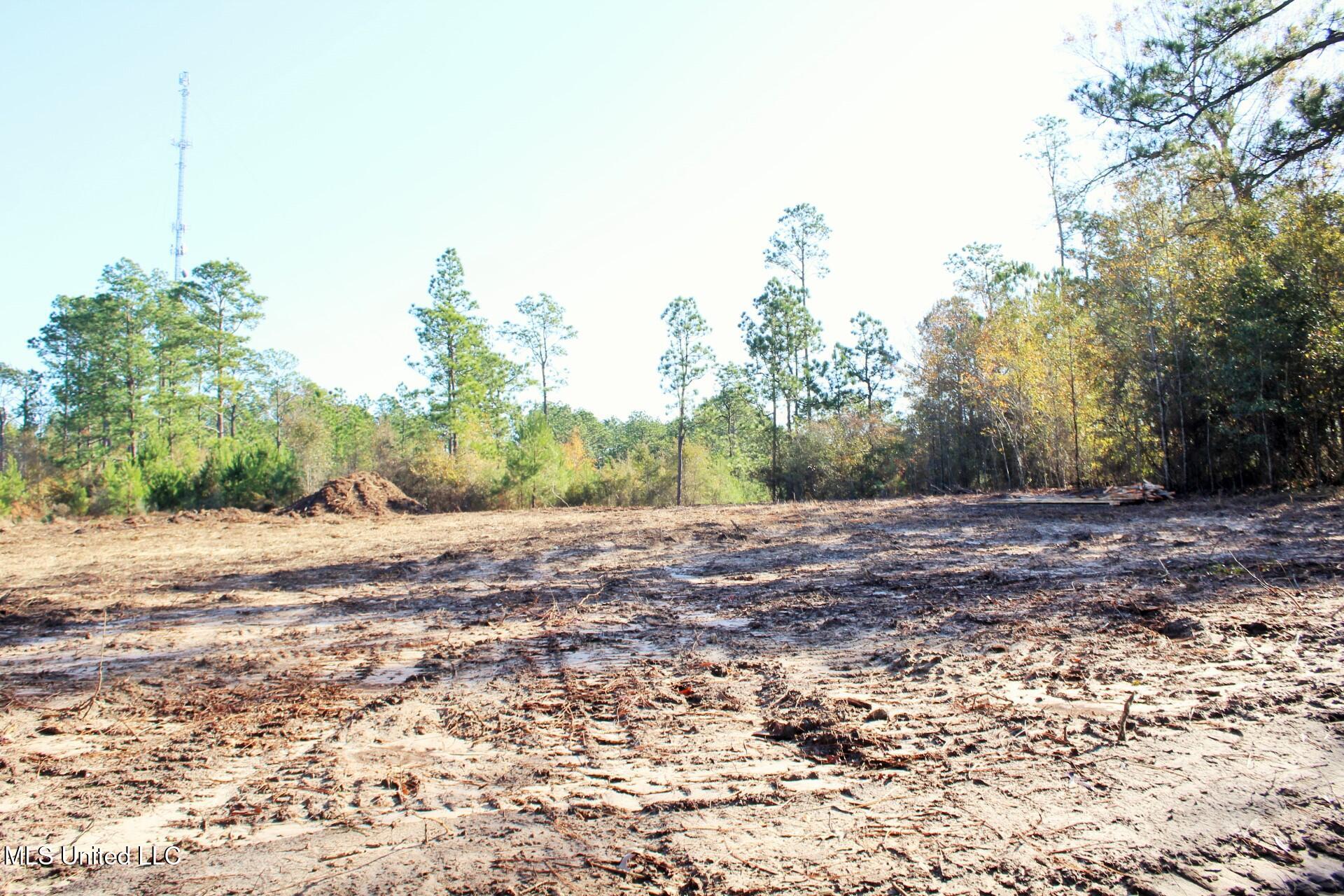 2.48-ac Jones Road Lucedale, MS 39452 - Photo 9 of 12 IMG_2989