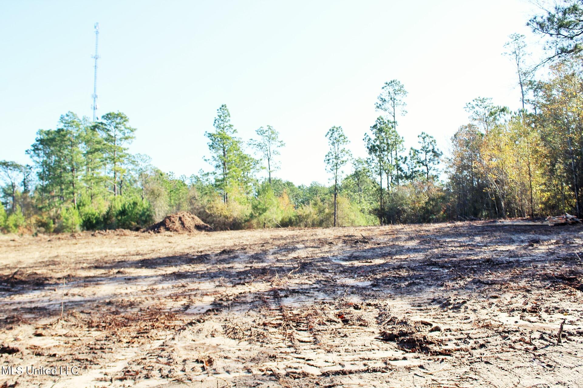 2.48-ac Jones Road Lucedale, MS 39452 - Photo 10 of 12 IMG_2990