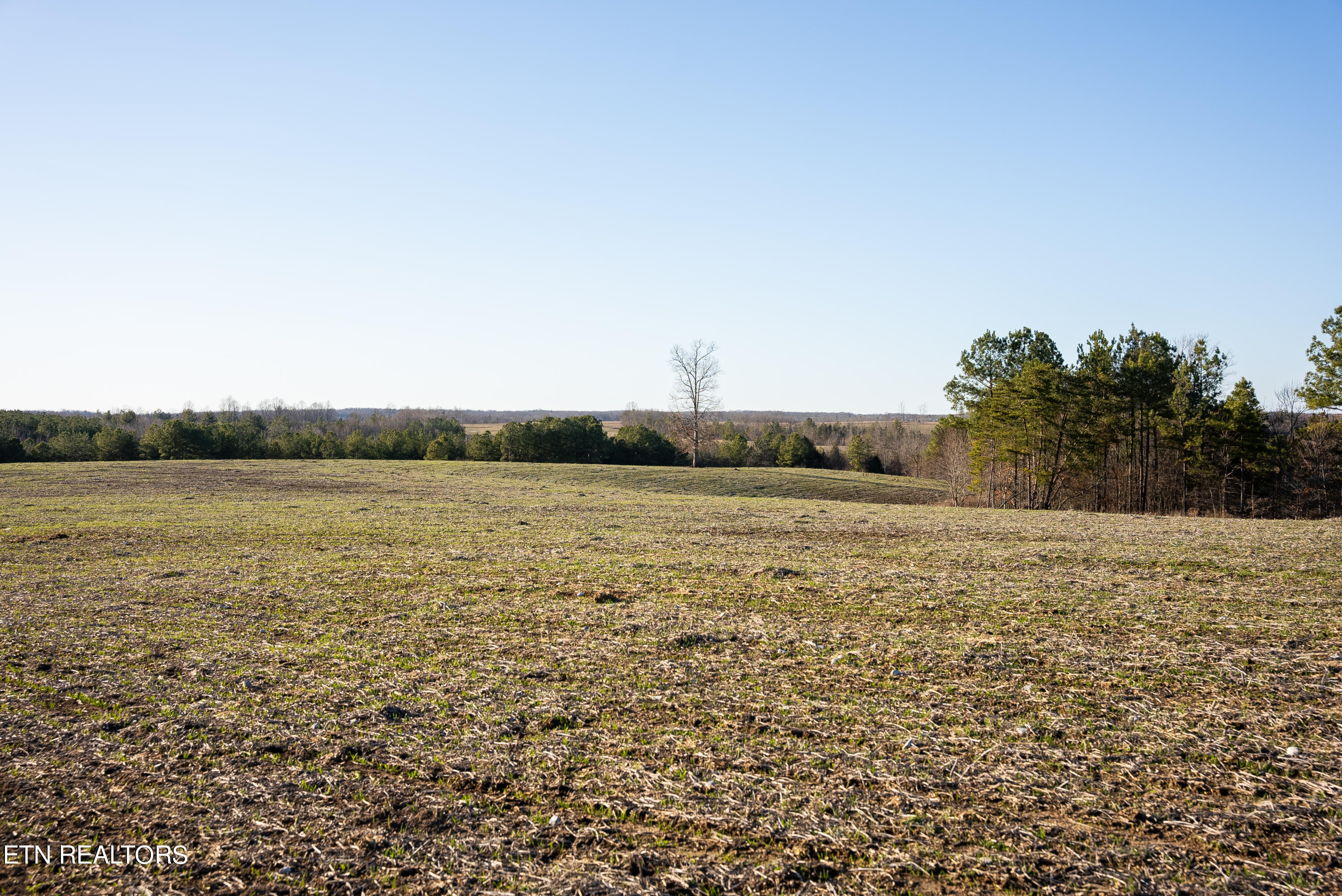 Bowater Road Deer Lodge, TN 37726 - Photo 43 of 60 CCC03863