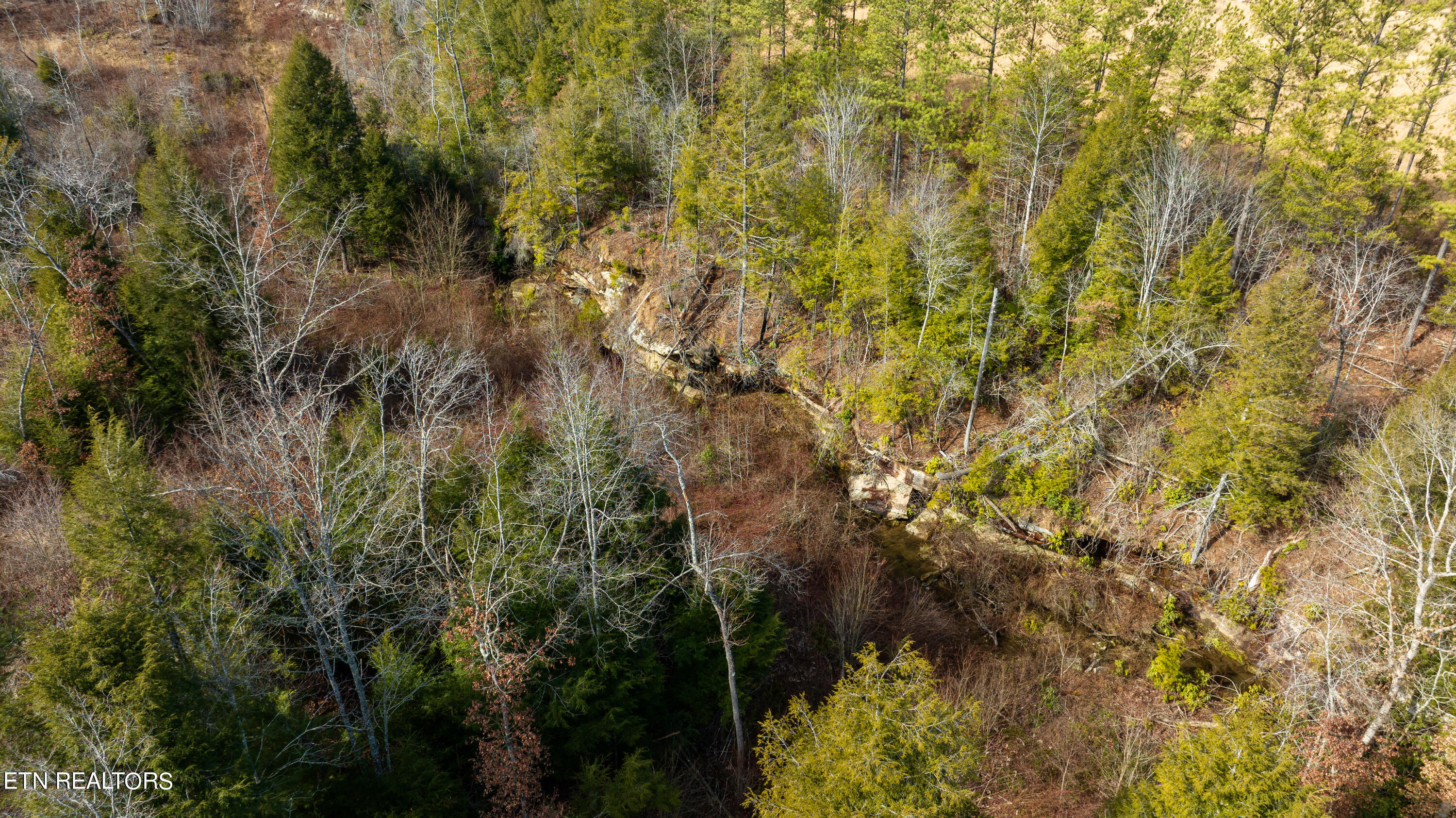 Bowater Road Deer Lodge, TN 37726 - Photo 54 of 60 DJI_0668