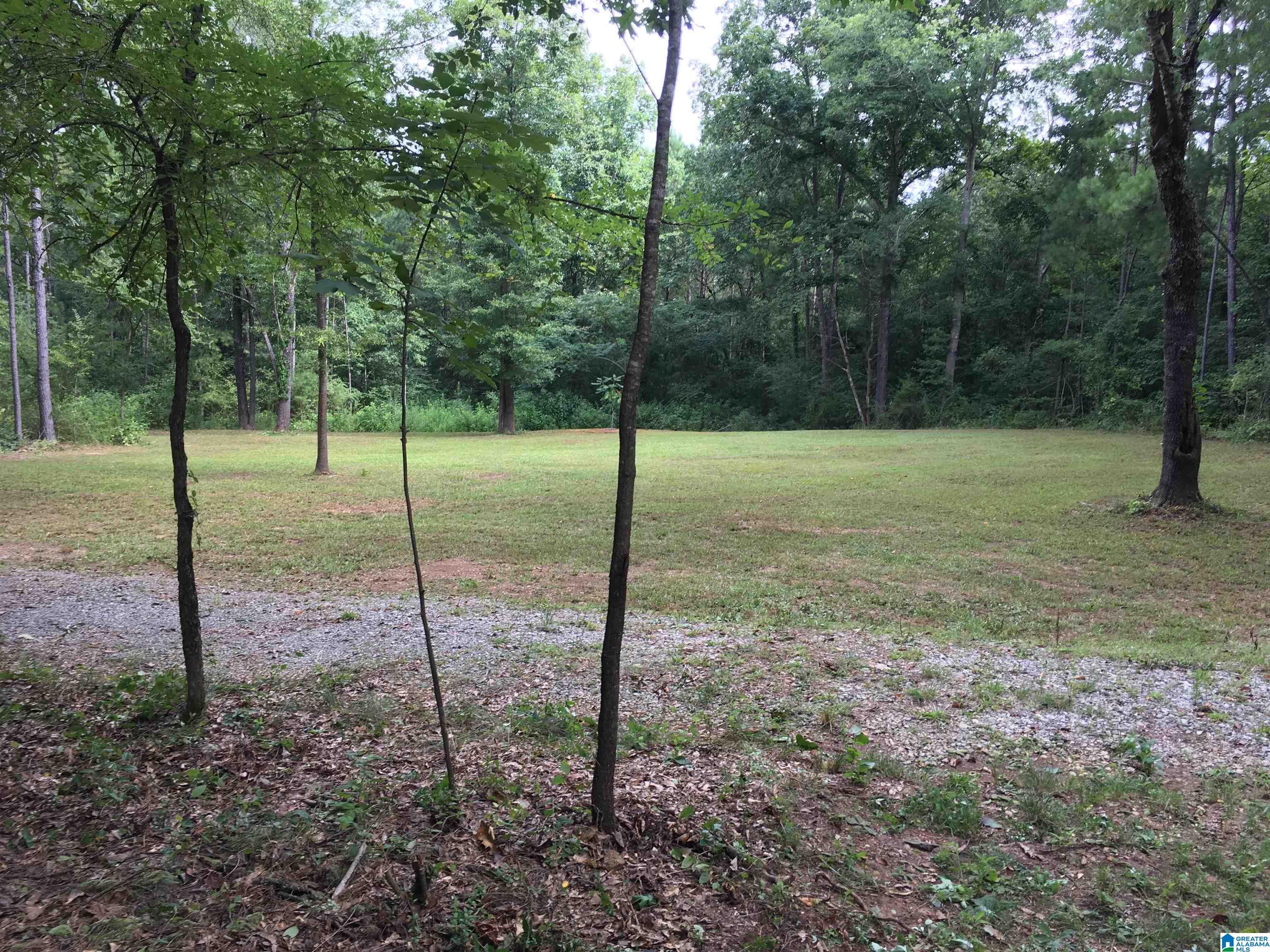 25 Whitson Road Talladega, AL 35160 - Photo 2 of 5