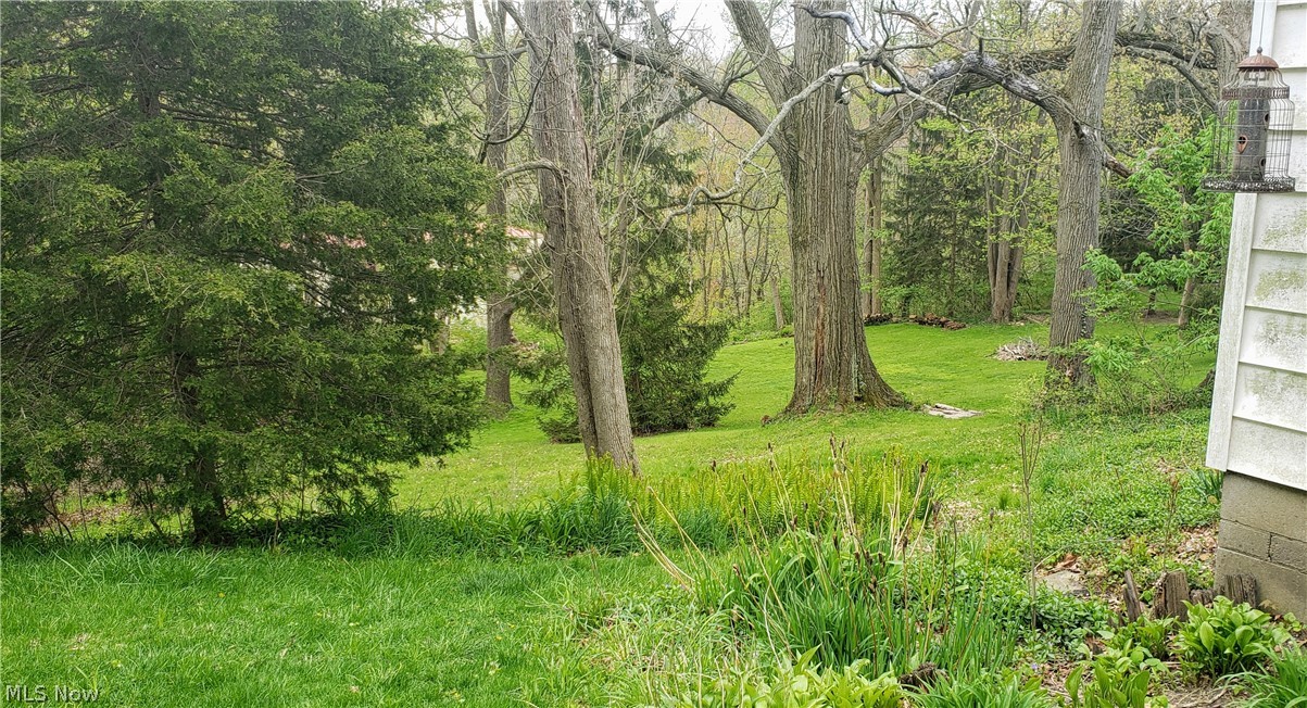 7601 River Road Olmsted Falls, OH 44138 - Photo 28 of 30