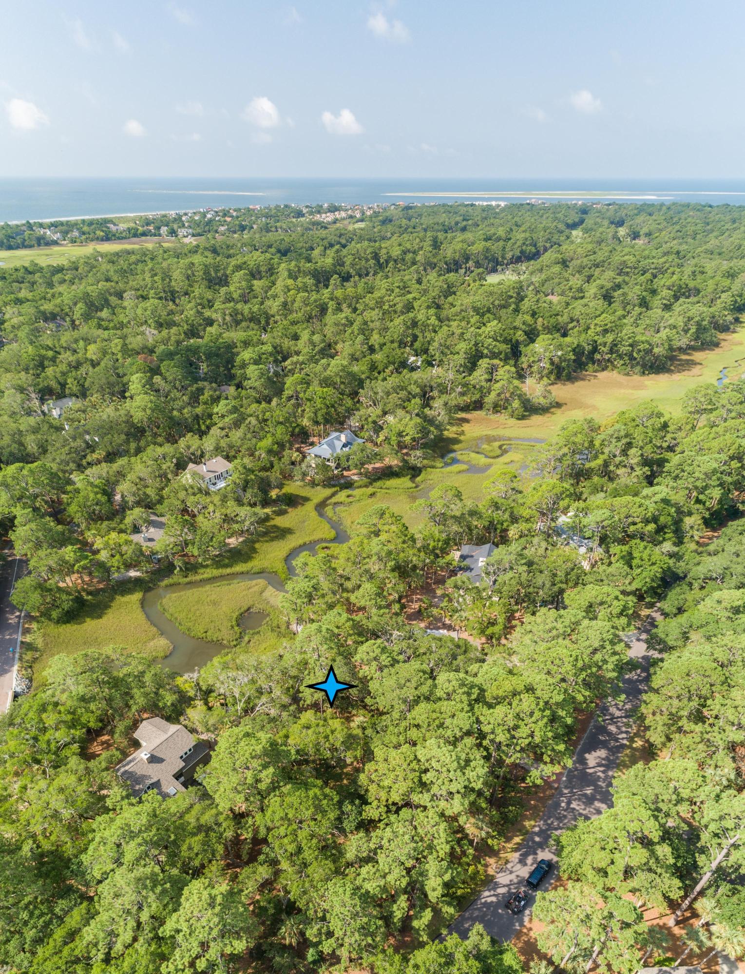 2325 Cat Tail Pond Road Seabrook Island, SC 29455 - Photo 3 of 54 Coastalrephotocattaildrone-5