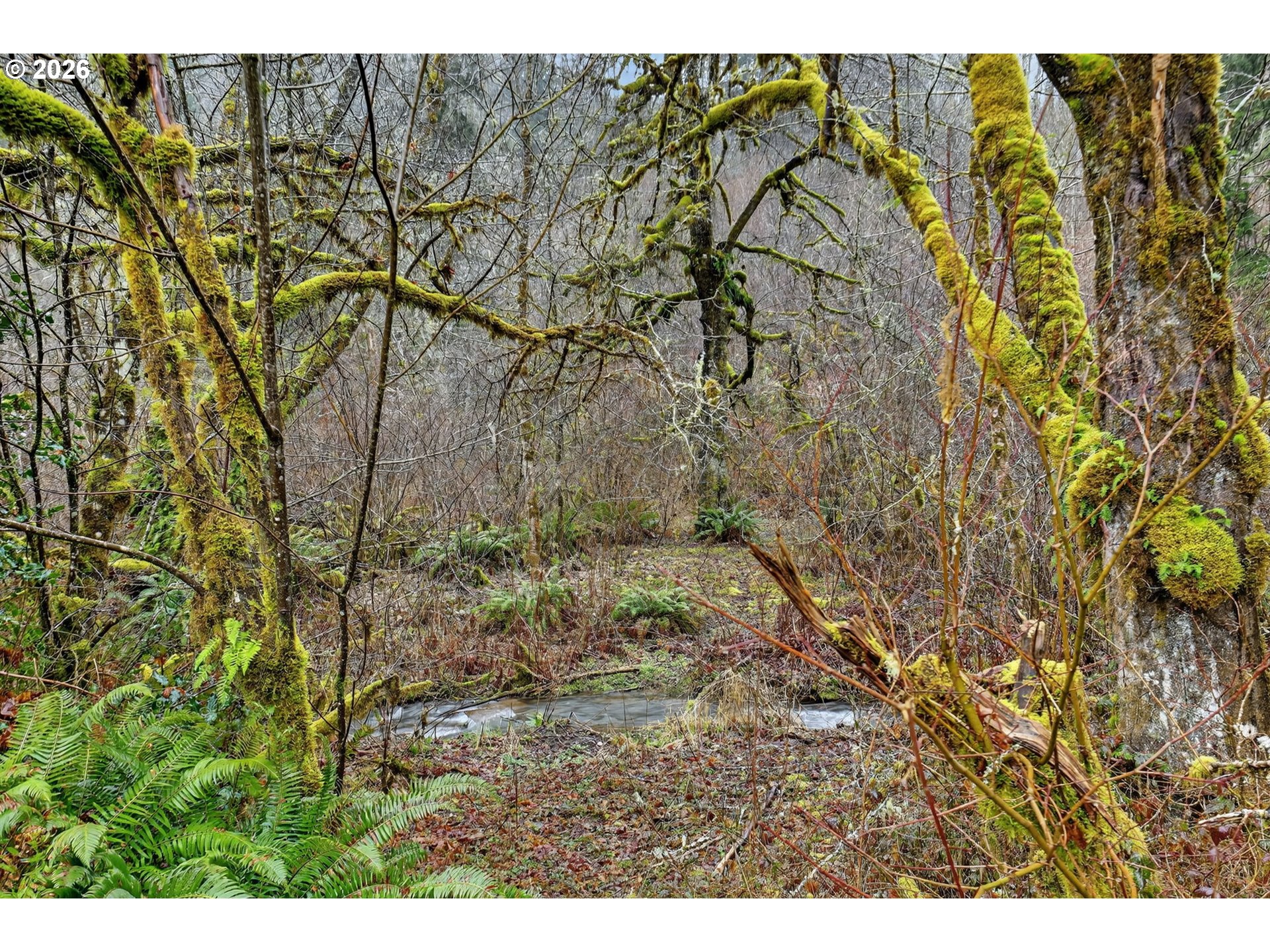 24511 Northeast W H Garner Road Yacolt, WA 98675 - Photo 35 of 40