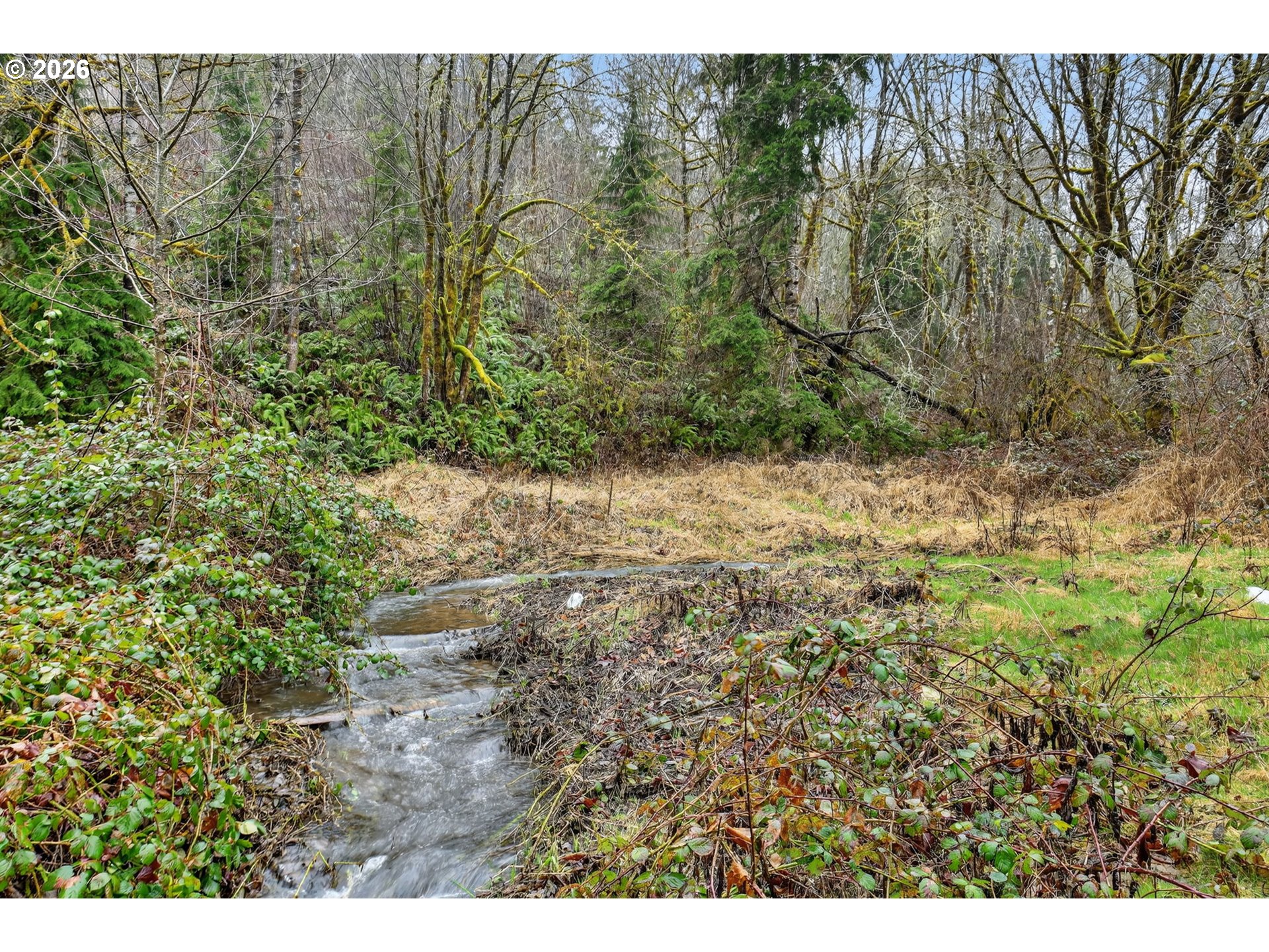 24511 Northeast W H Garner Road Yacolt, WA 98675 - Photo 36 of 40