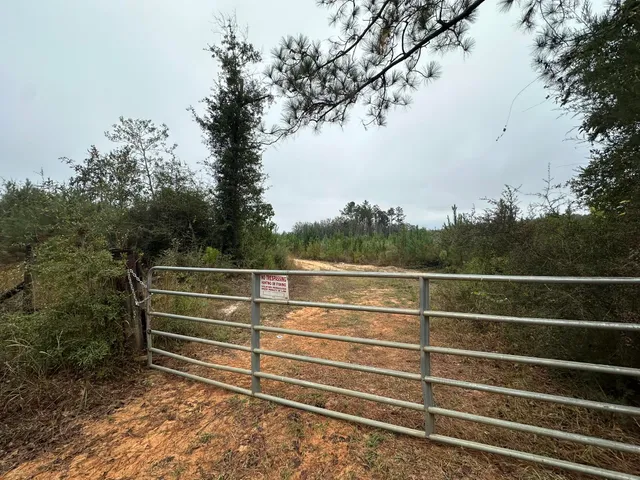 a view of outdoor space with deck and trees
