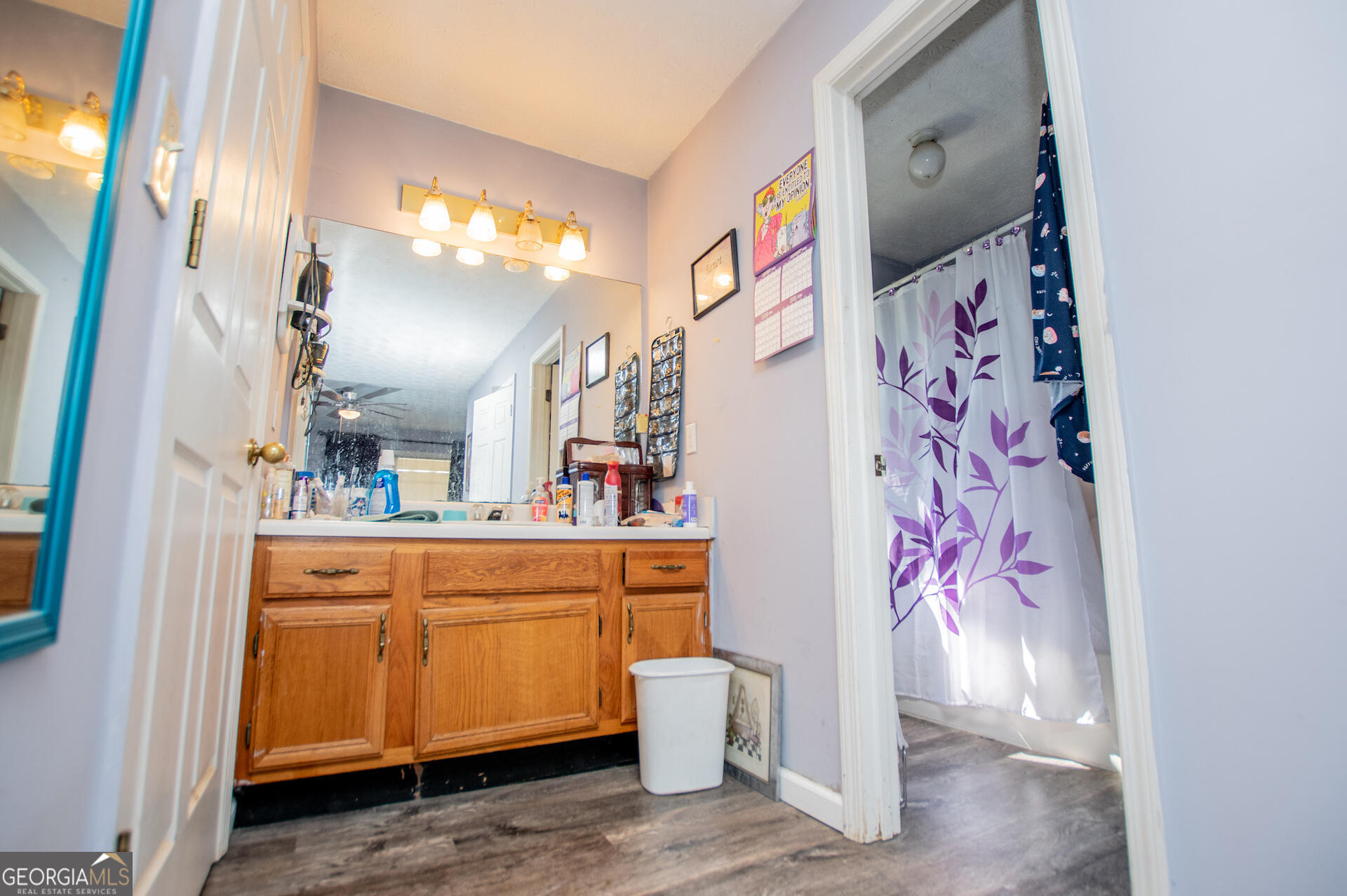 1227 Horsley Mill Road Carrollton, GA 30116 - Photo 30 of 70 a bathroom with a sink and mirror with shower curtain