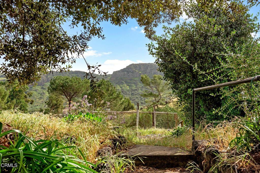 10840 Santa Rosa Road Camarillo, CA 93012 - Photo 27 of 55 a view of a yard