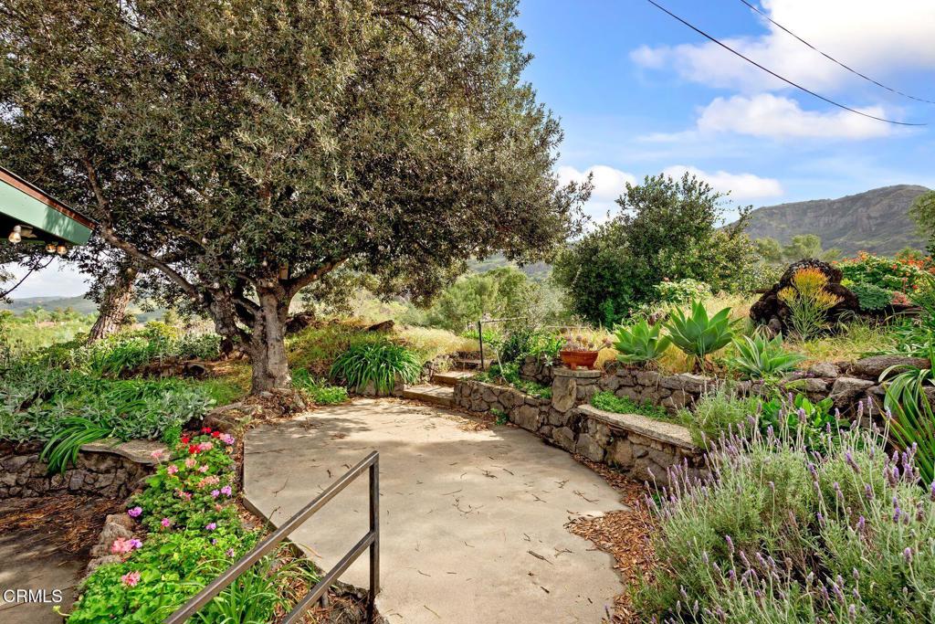 10840 Santa Rosa Road Camarillo, CA 93012 - Photo 28 of 55 a view of a park with large trees