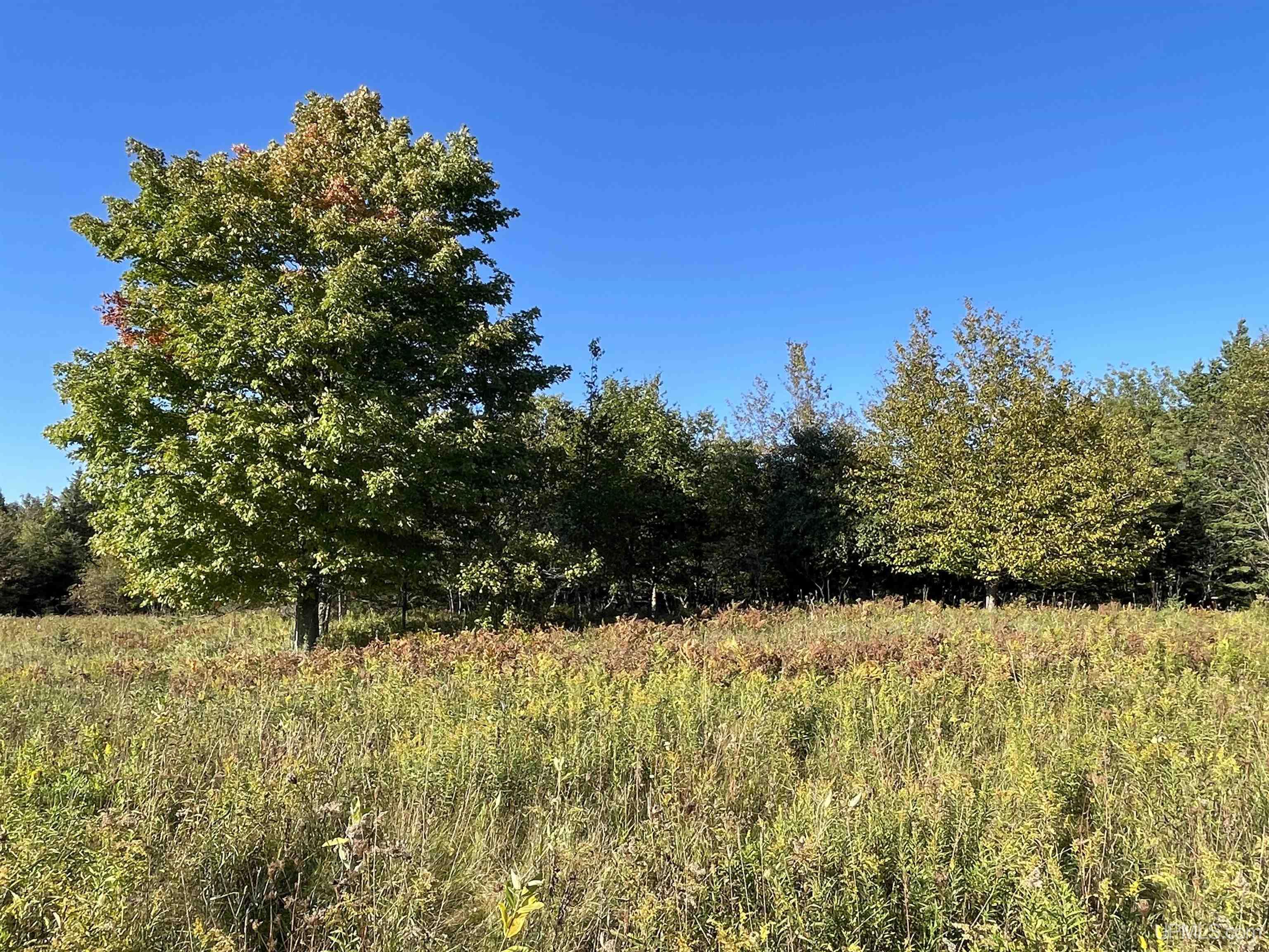 40-acres County Pit Road, Unit PARCEL #4 Manistique, MI 49854 - Photo 15 of 41 Gallery Image 15