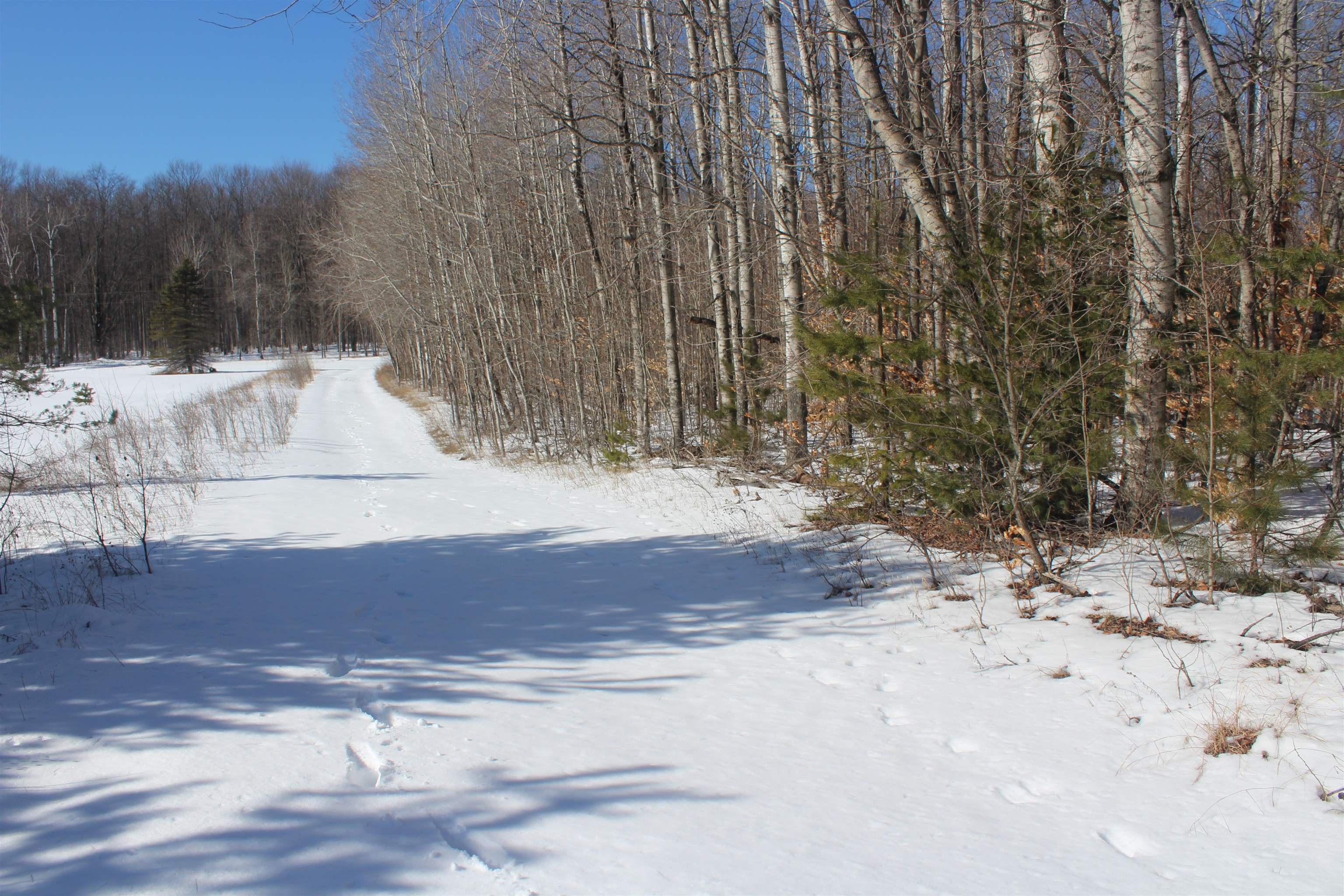 Vl Southeast Vl Se Crouch Road Fife Lake, MI 49633 - Photo 2 of 19