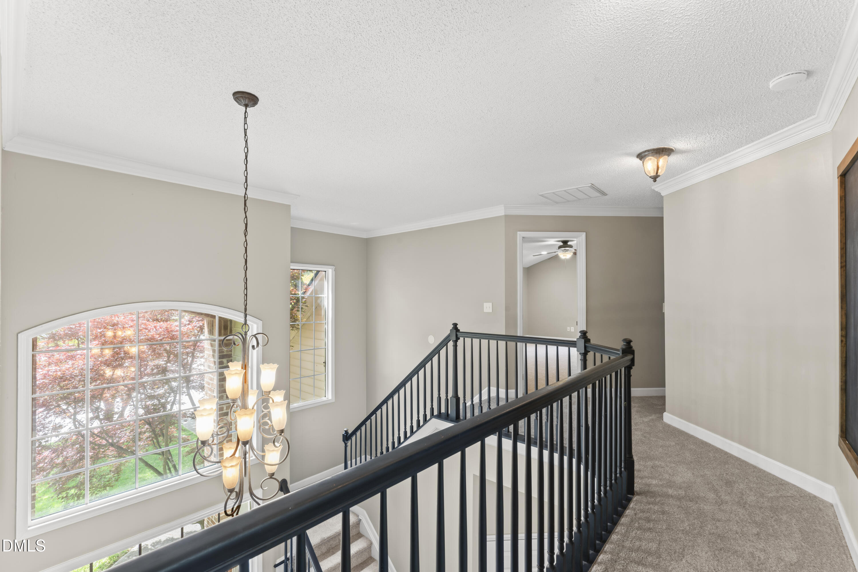 3509 Boren Court Raleigh, NC 27616 - Photo 31 of 39 print_quality-DSC05003