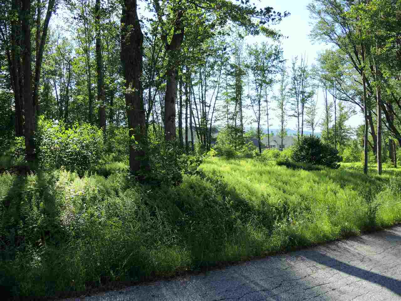 Lot 34 Acres Road, Unit 34 Rutland, VT 05701 - Photo 6 of 8 Gallery Image 6