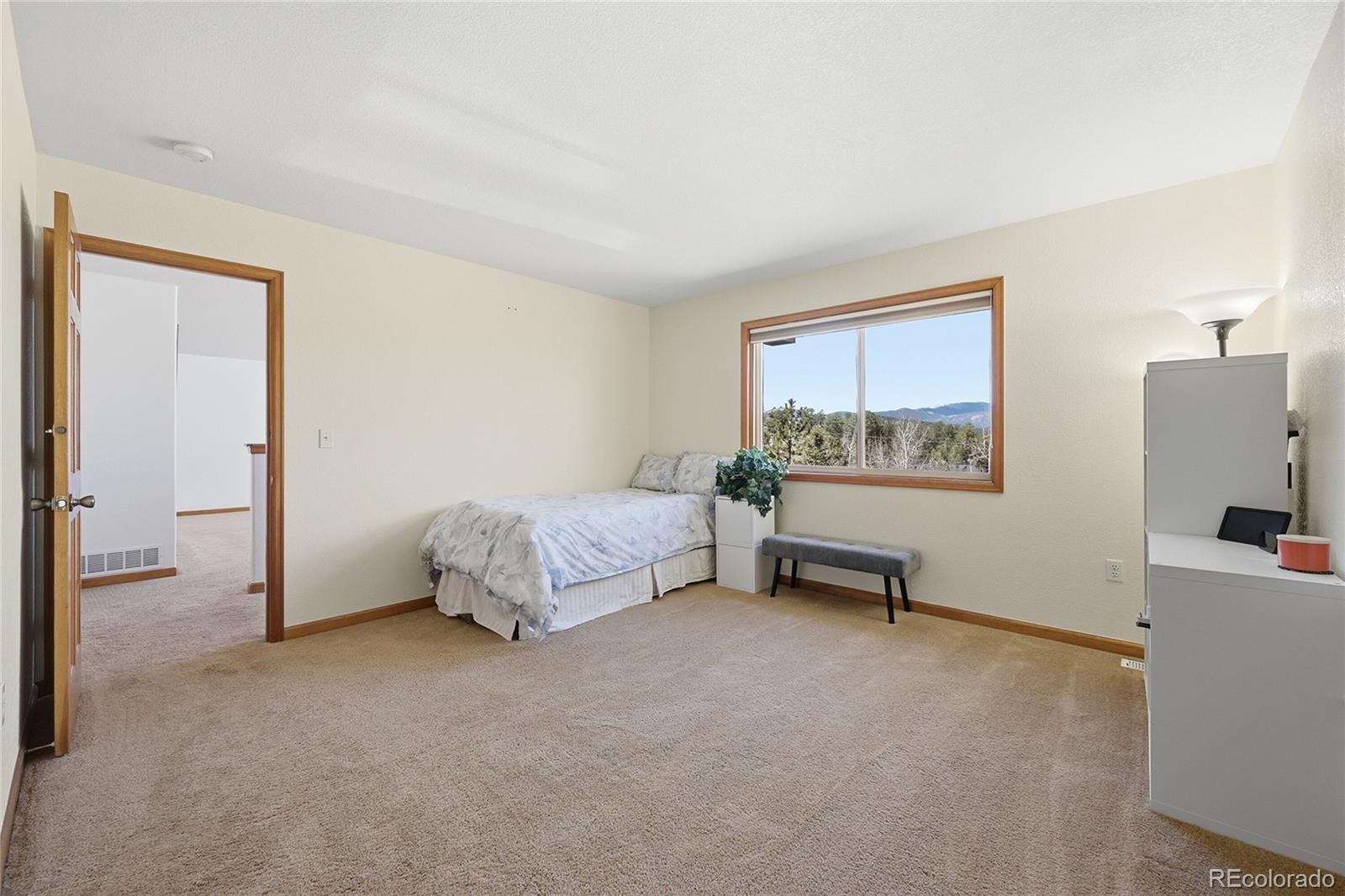 146 South Random Road Bailey, CO 80421 - Photo 16 of 29
