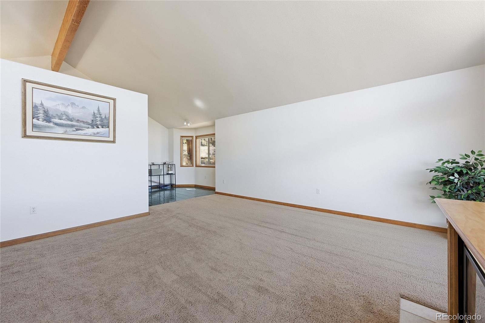 146 South Random Road Bailey, CO 80421 - Photo 9 of 29