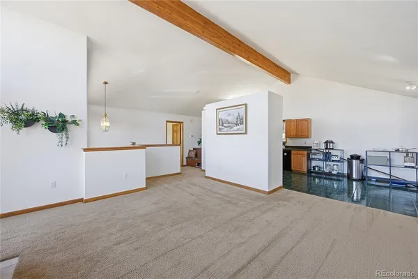 $525,000 | 146 South Random Road, Bailey, CO 80421
