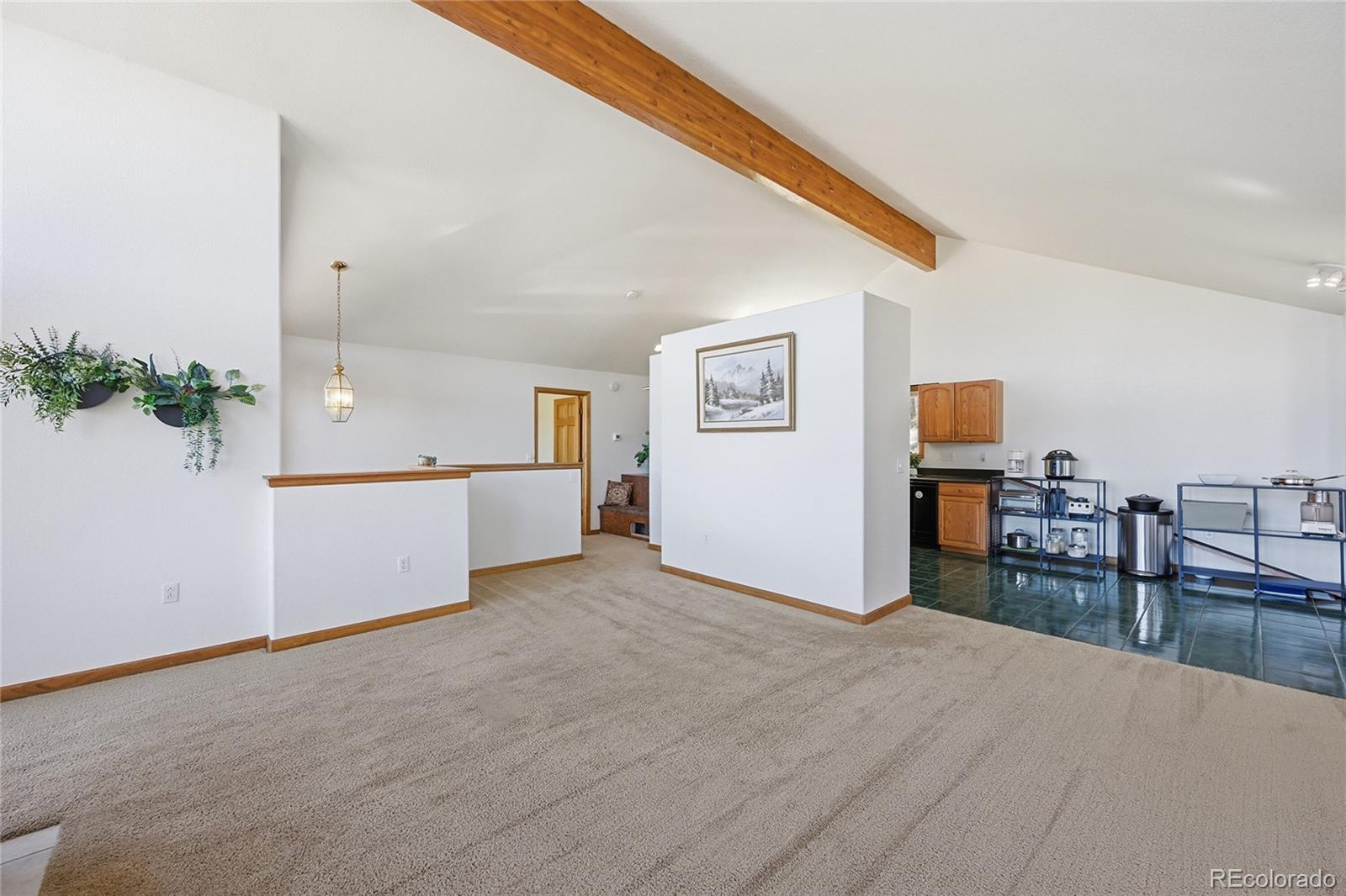 146 South Random Road Bailey, CO 80421 - Photo 10 of 29