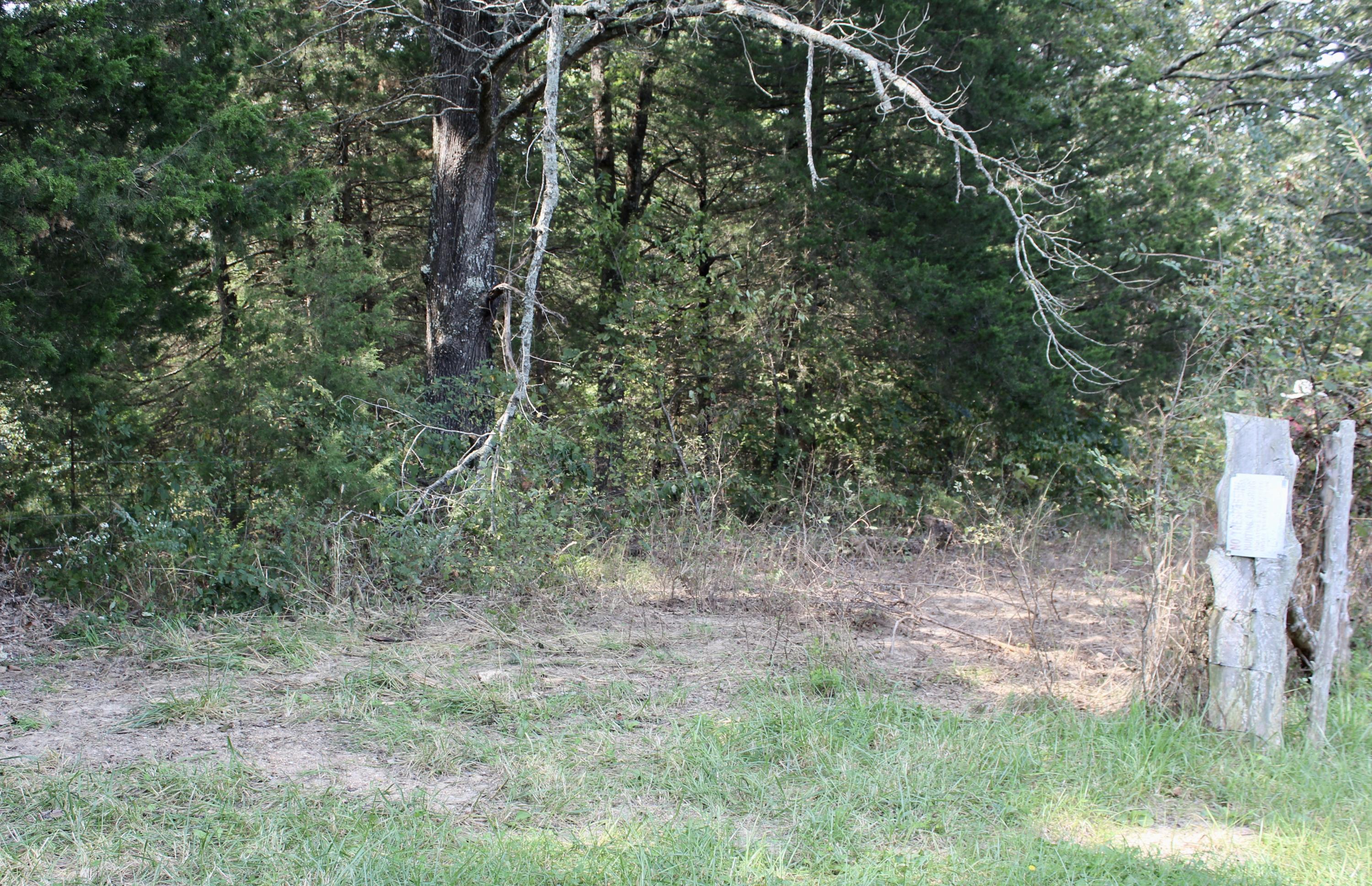 0 Ann Lane Shell Knob, MO 65747 - Photo 1 of 1 IMG_3968