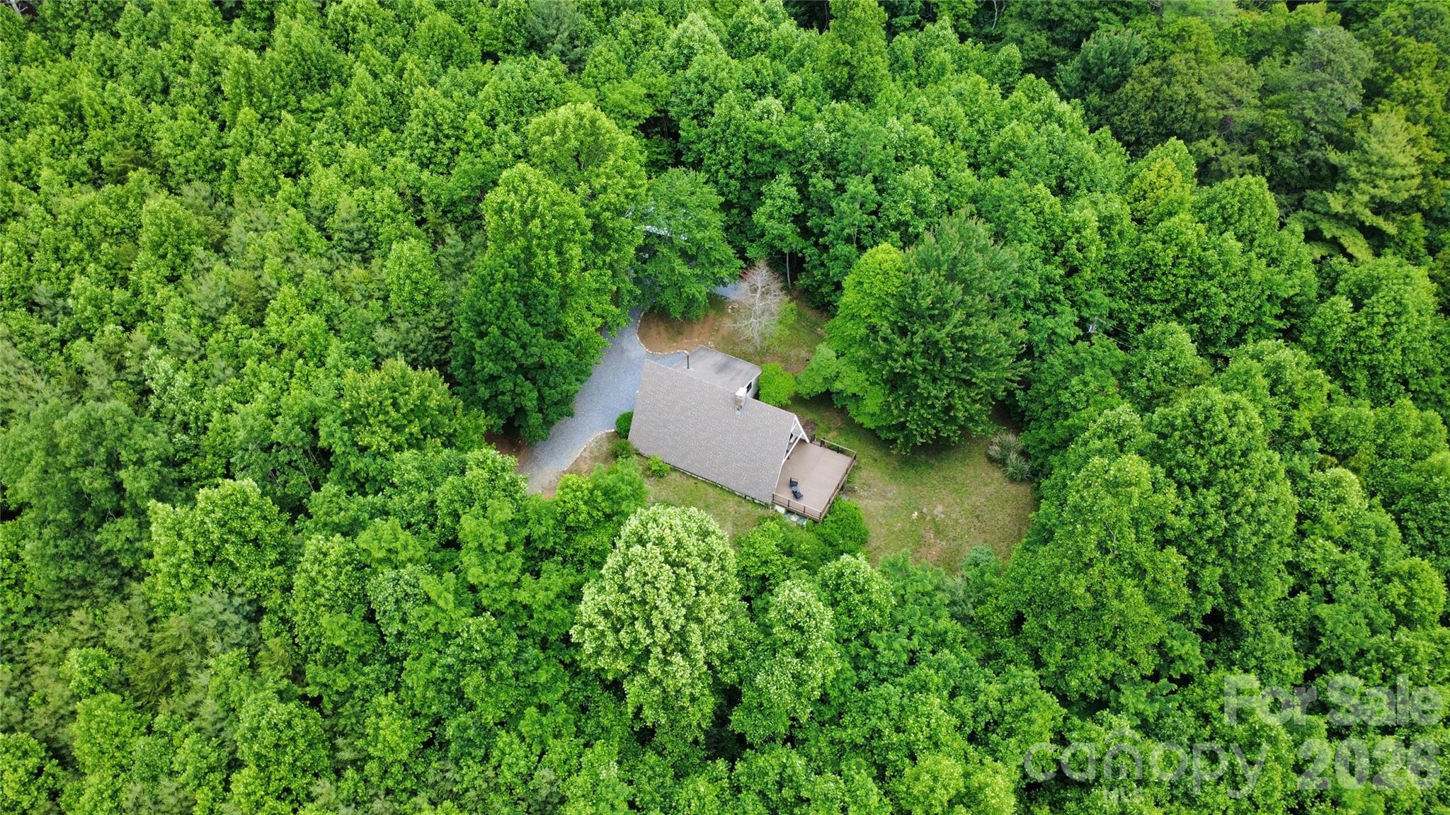 826 Shumont Road Black Mountain, NC 28711 - Photo 8 of 31