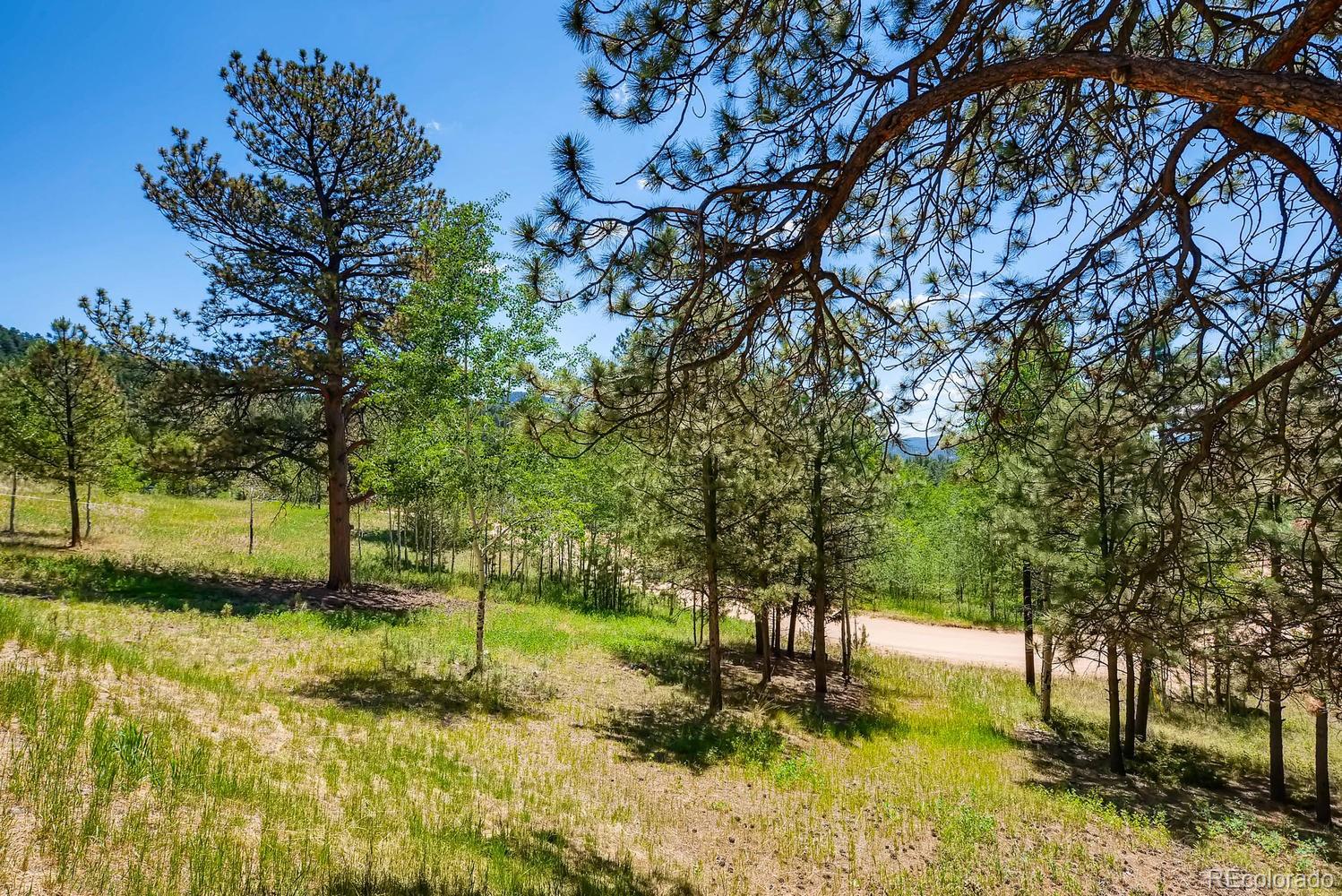 35681 Upper Aspen Lane Pine, CO 80470 - Photo 33 of 36