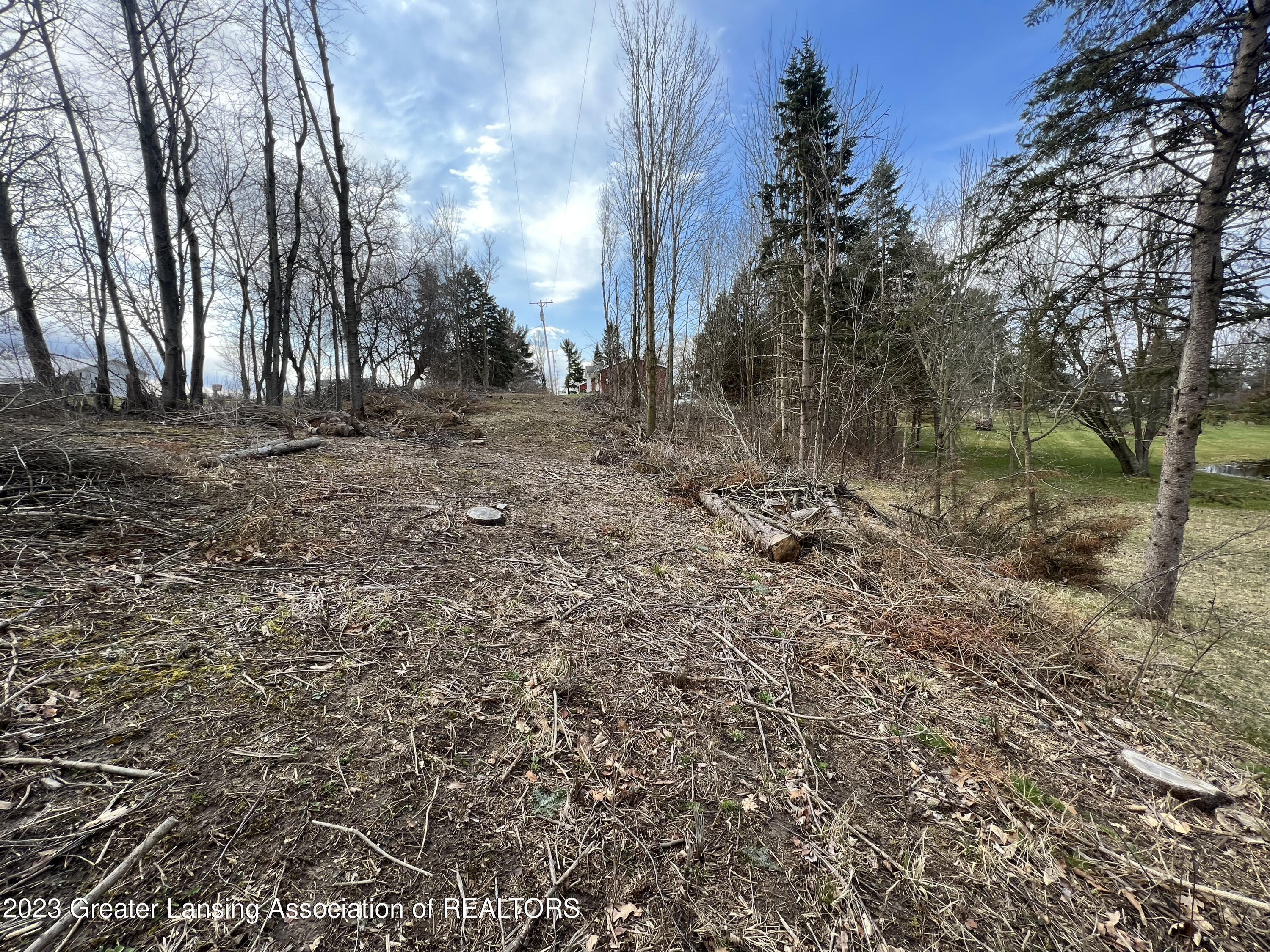0 Clintonia Road Portland, MI 48875 - Photo 5 of 19 IMG_8114