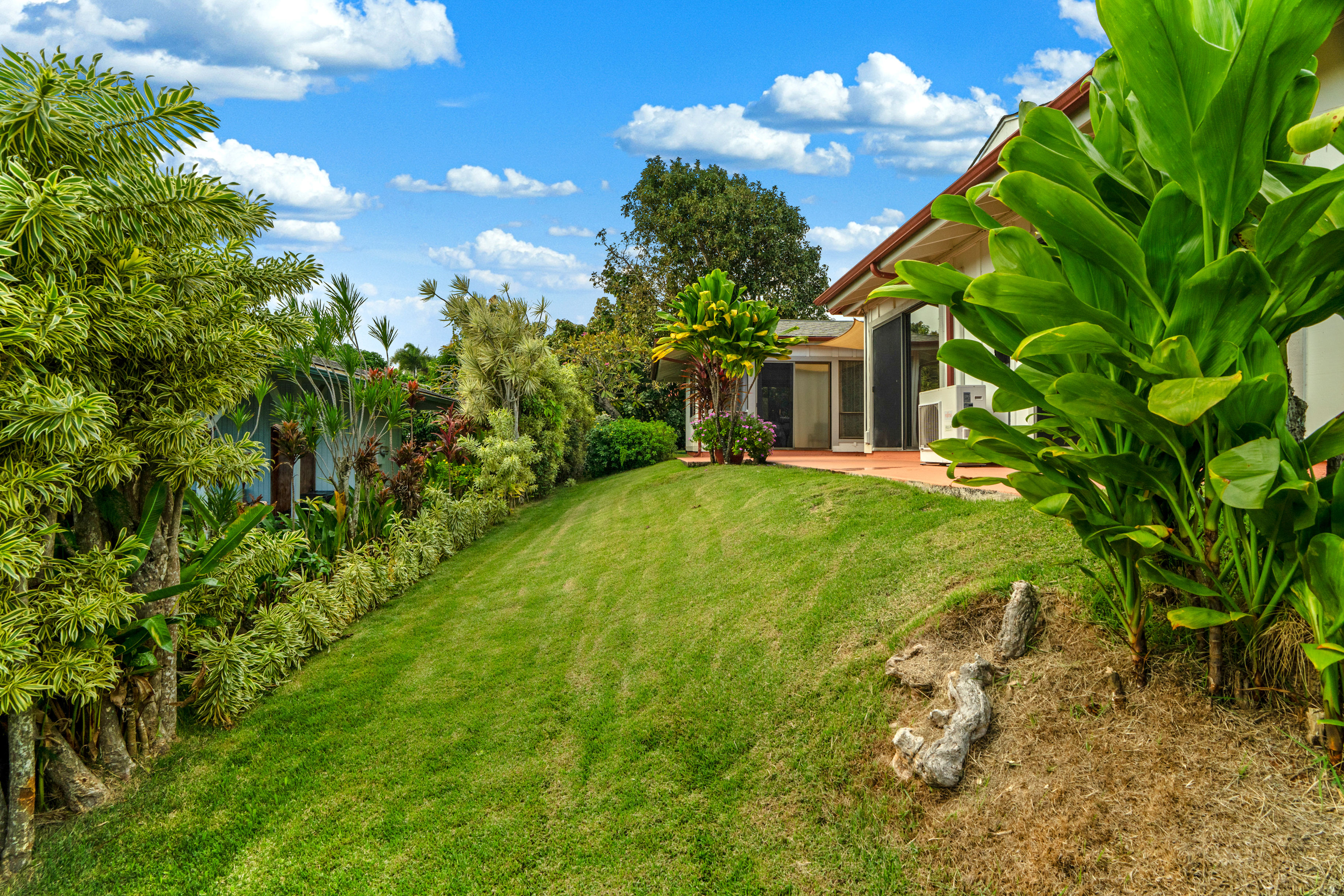3587 Kaloke Street Kalaheo, HI 96741 - Photo 26 of 30 a backyard of a house with lots of green space