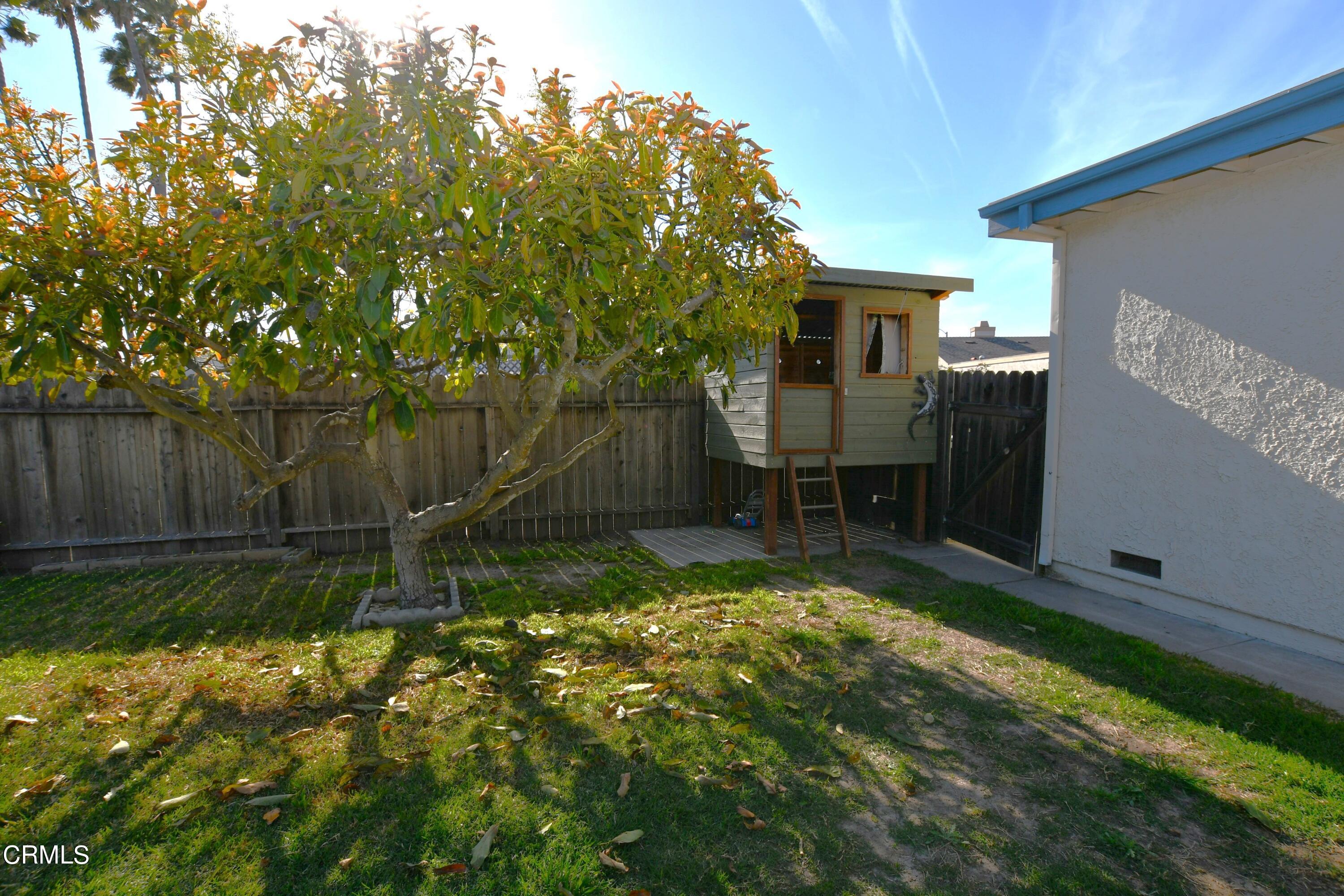 1711 Masthead Drive Oxnard, CA 93035 - Photo 16 of 18 a view of backyard with wooden fence and large trees