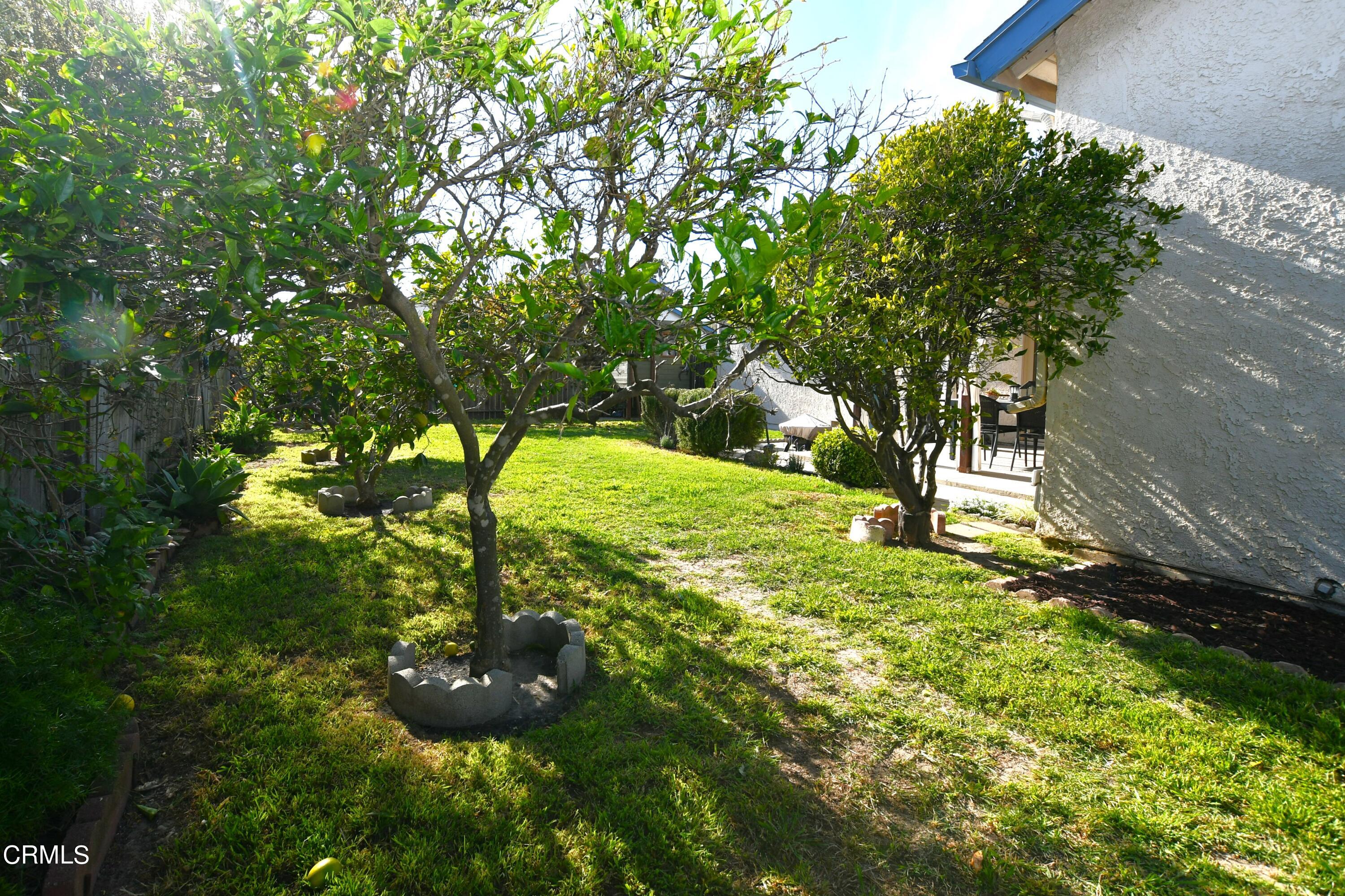 1711 Masthead Drive Oxnard, CA 93035 - Photo 17 of 18 a view of yard with green space