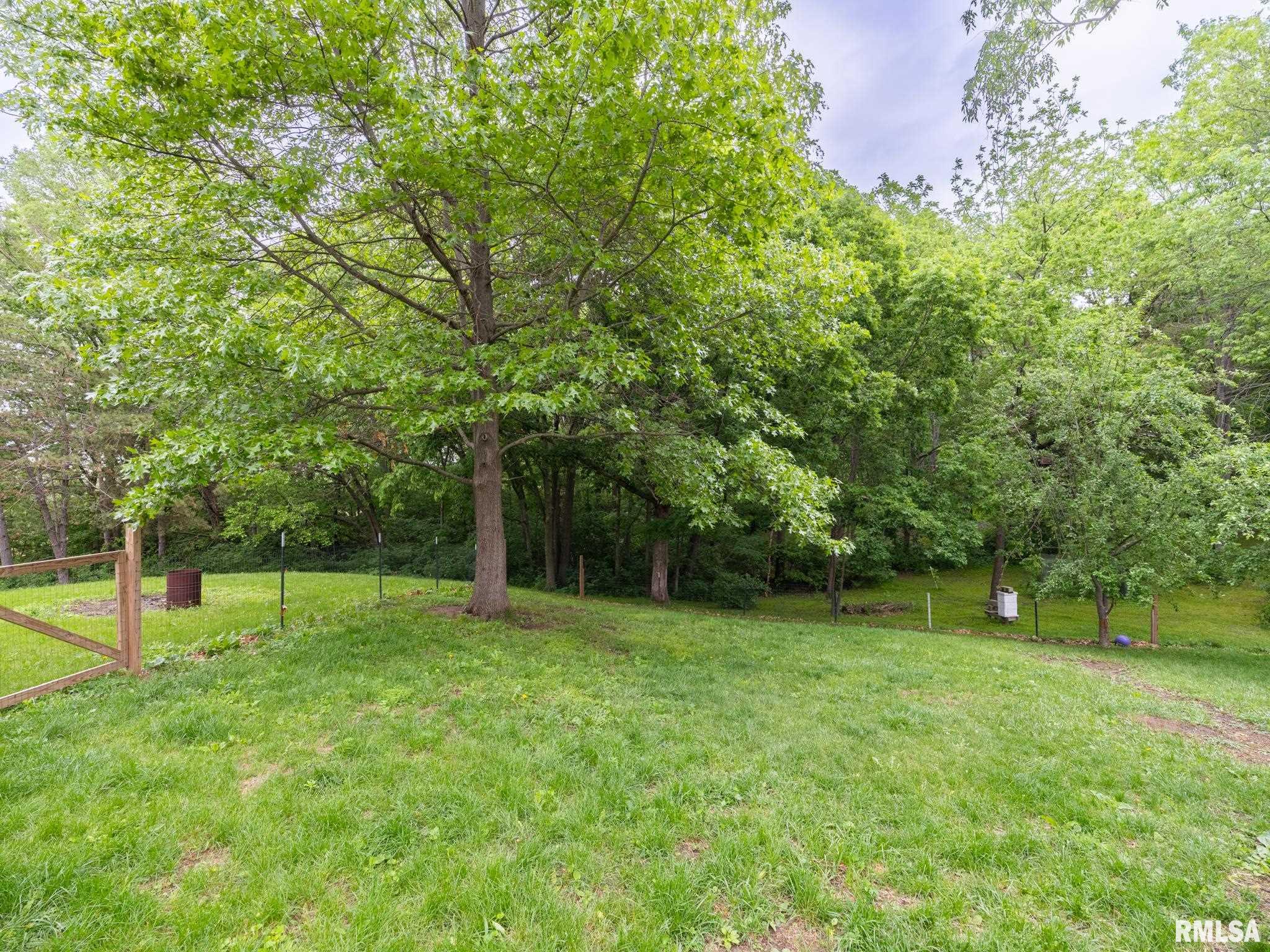 406 West Fast Avenue Mackinaw, IL 61755 - Photo 46 of 51